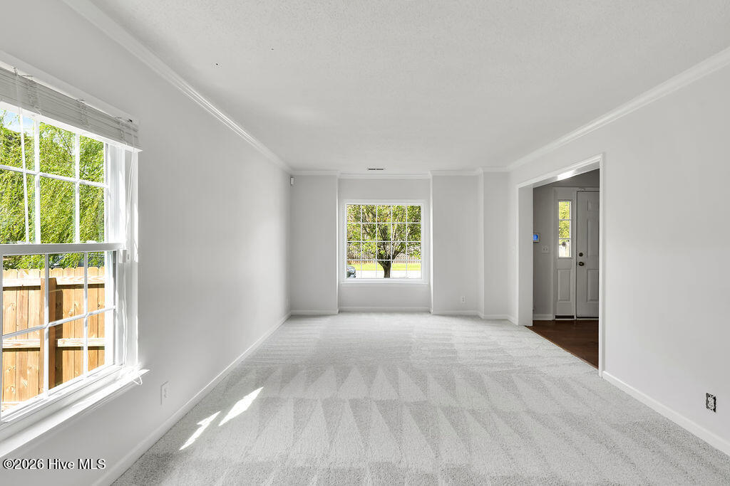 100567084 | Photo 20