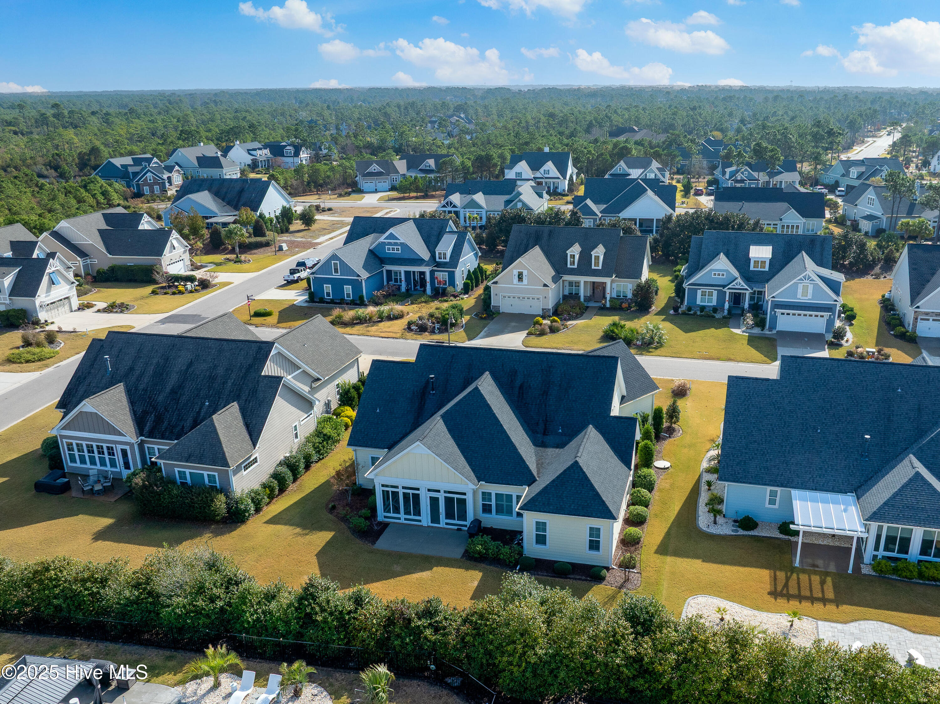 100543771 | Photo 46