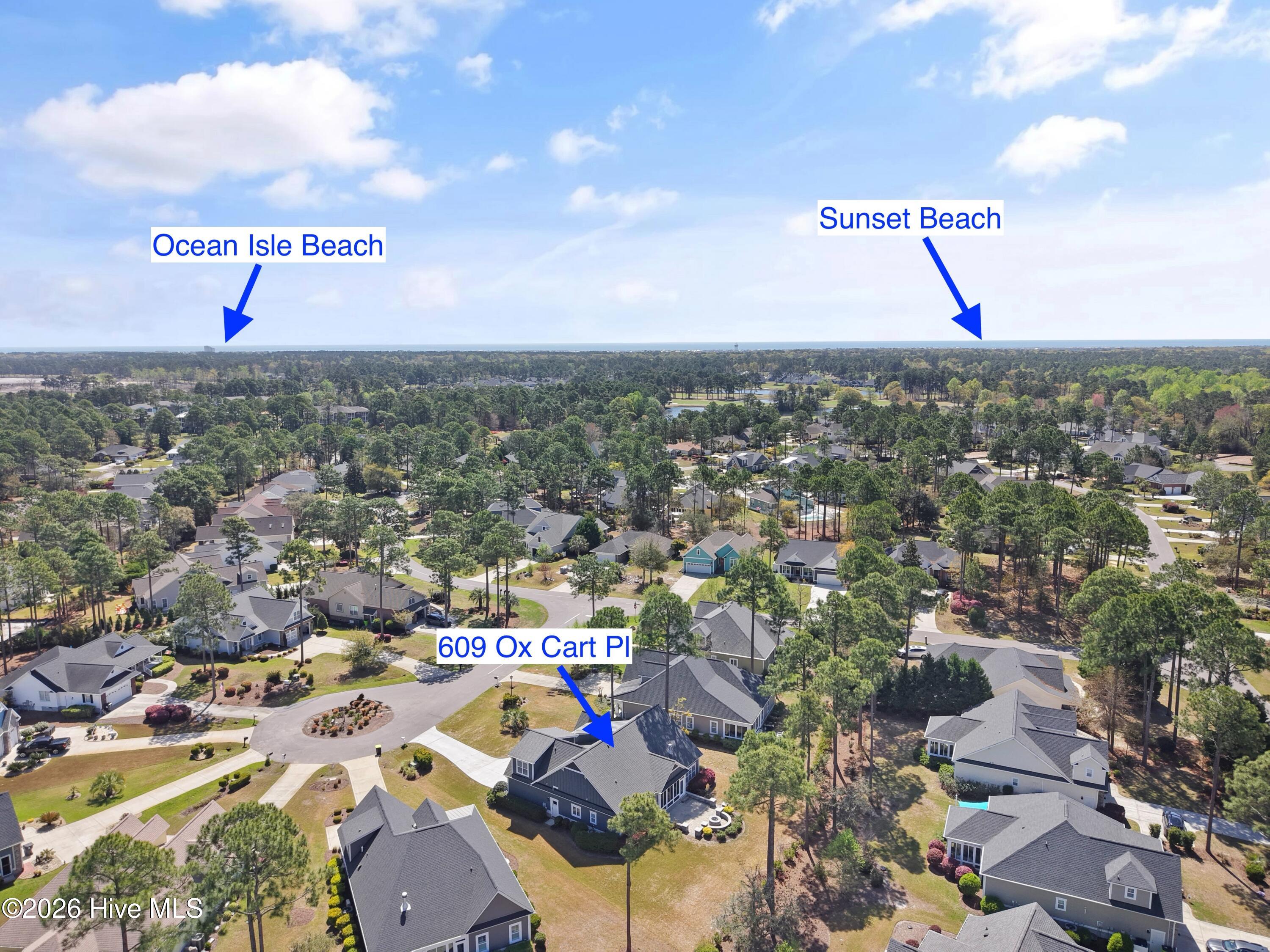 100564386 | Photo 72