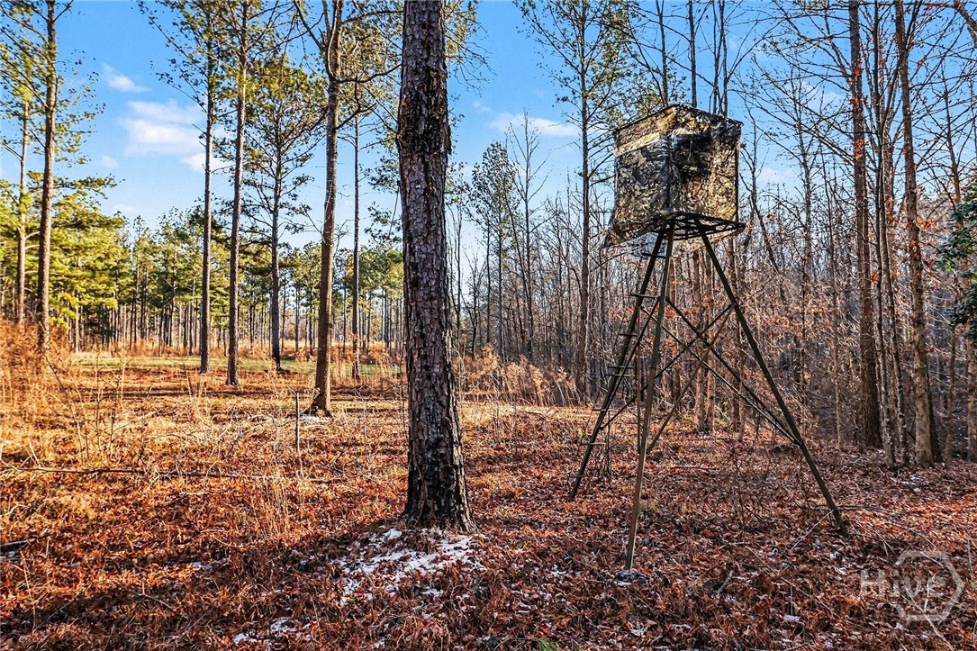 2285 Cherokee Road, Comer, GA, 30629