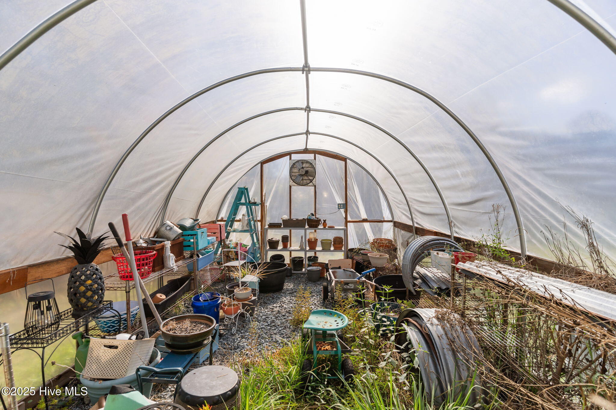 100540353 | Photo 62