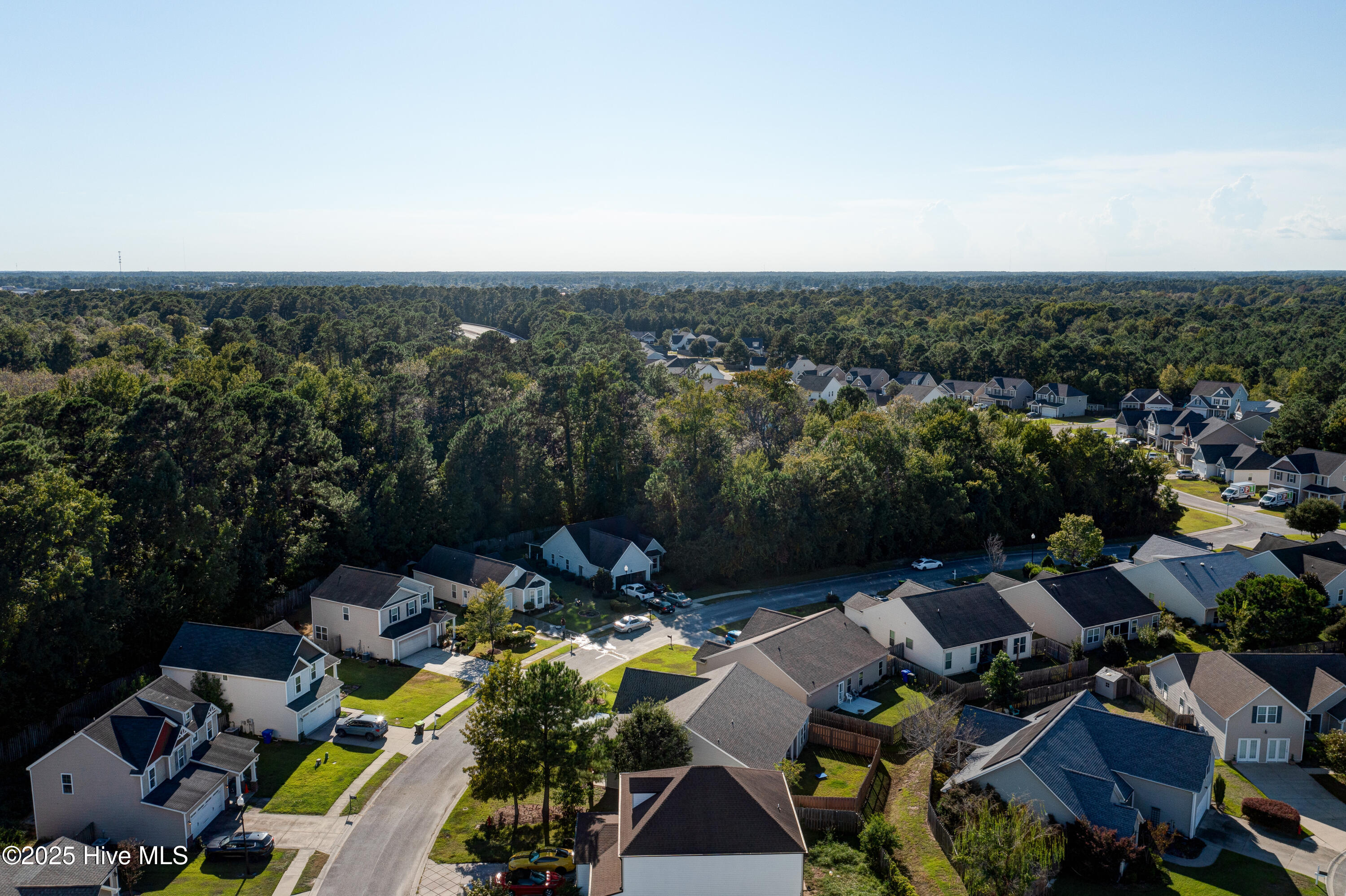 100530947 | Photo 42