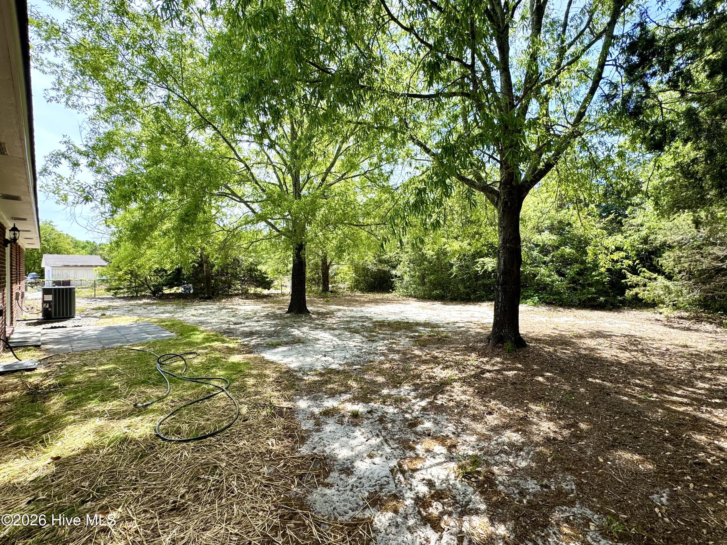 100567186 | Photo 15