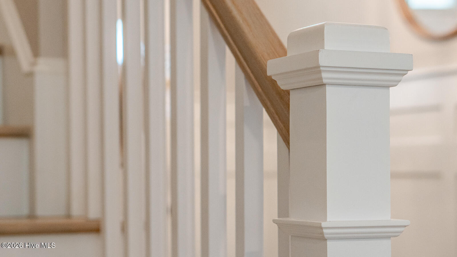 100555037 | Photo 15