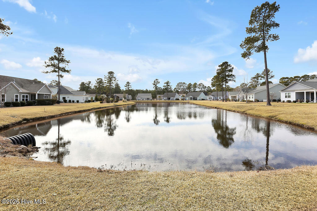 100554115 | Photo 39