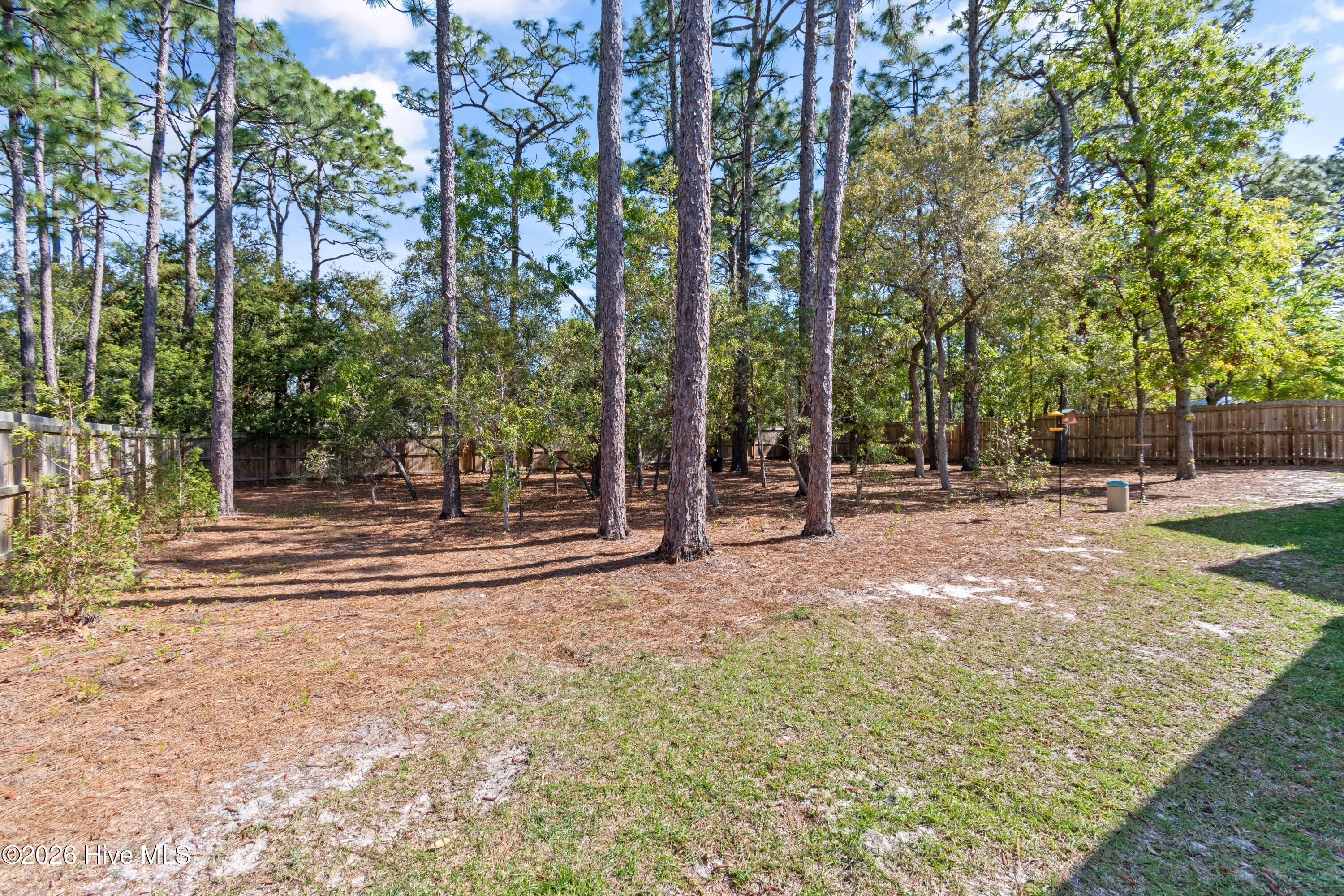 100568051 | Photo 36