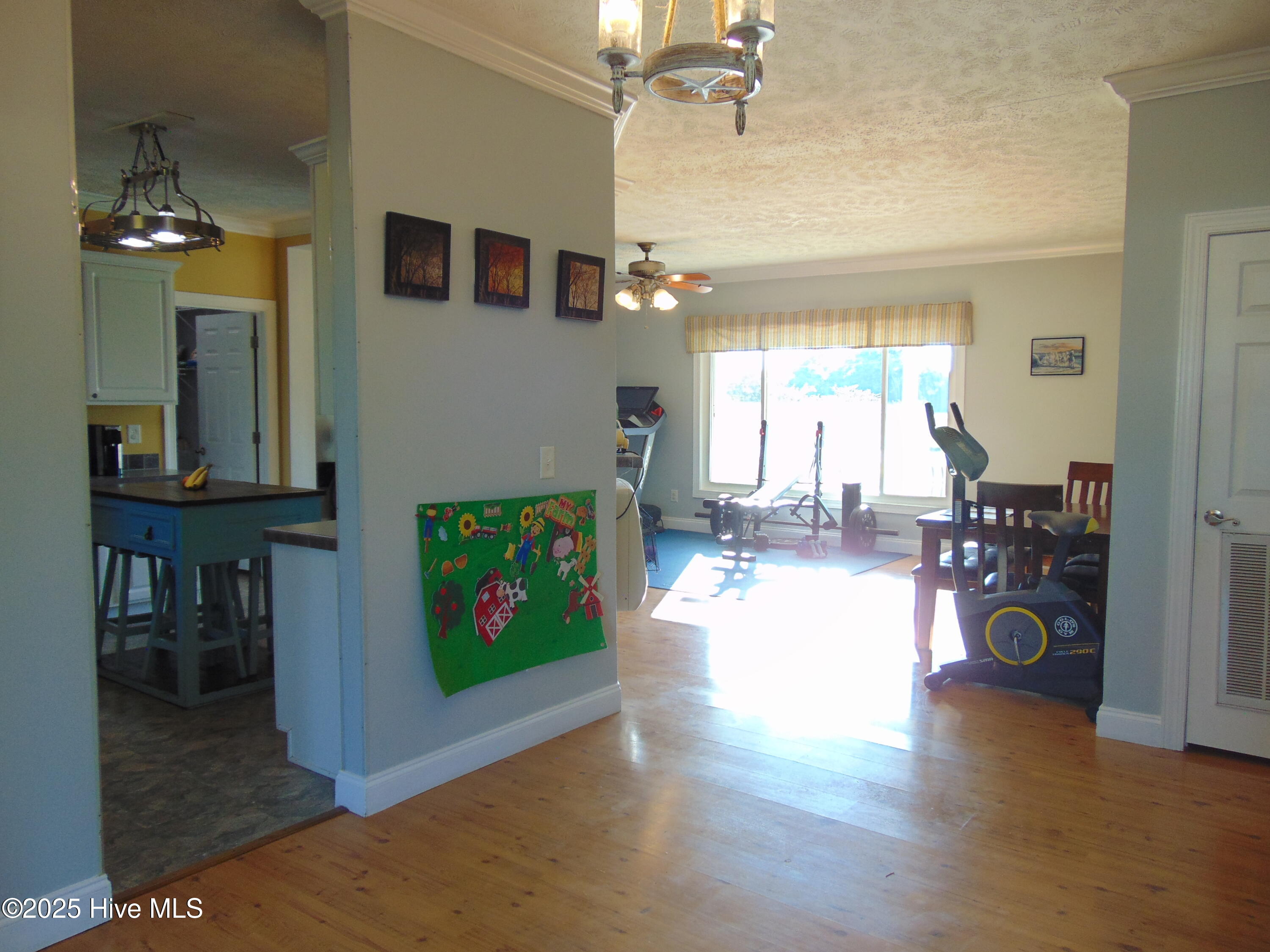 13619 Us Highway 258, Scotland Neck, NC, 27874