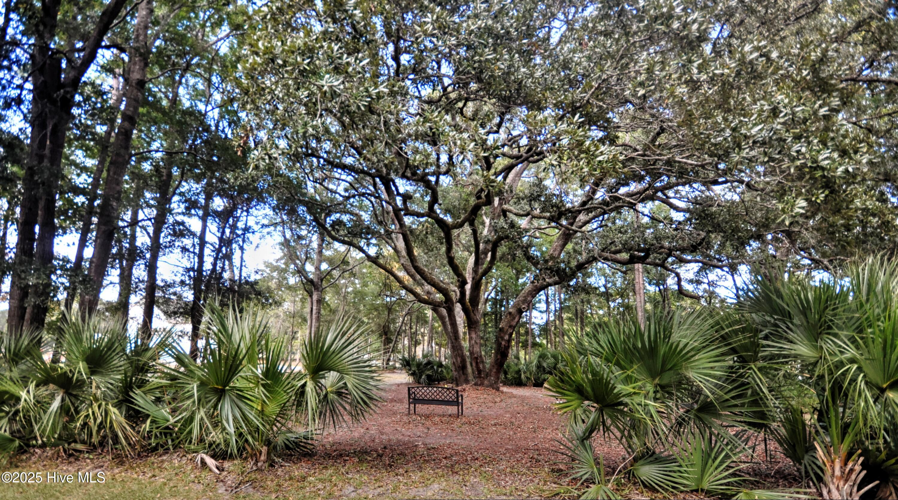 100535585 | Photo 69