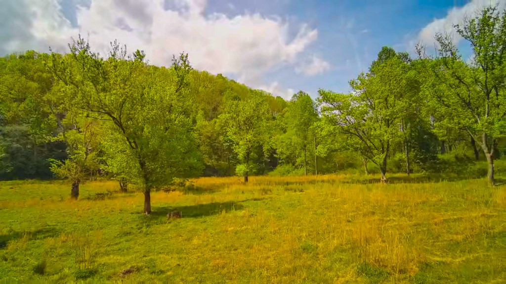 3325 Pack Mountain Road, Murphy, NC 28906 Listing Photo  50
