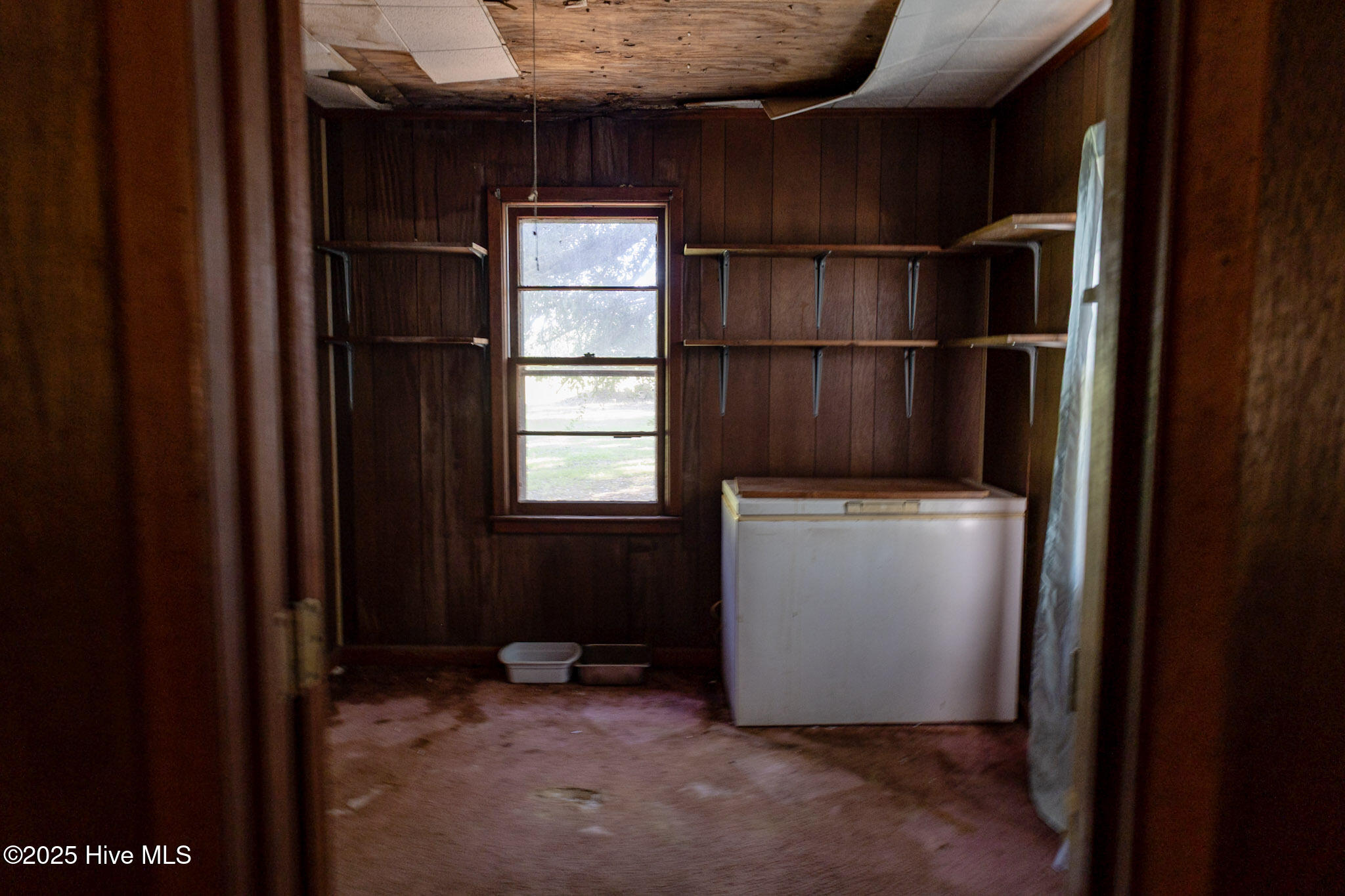 100528226 | Photo 11