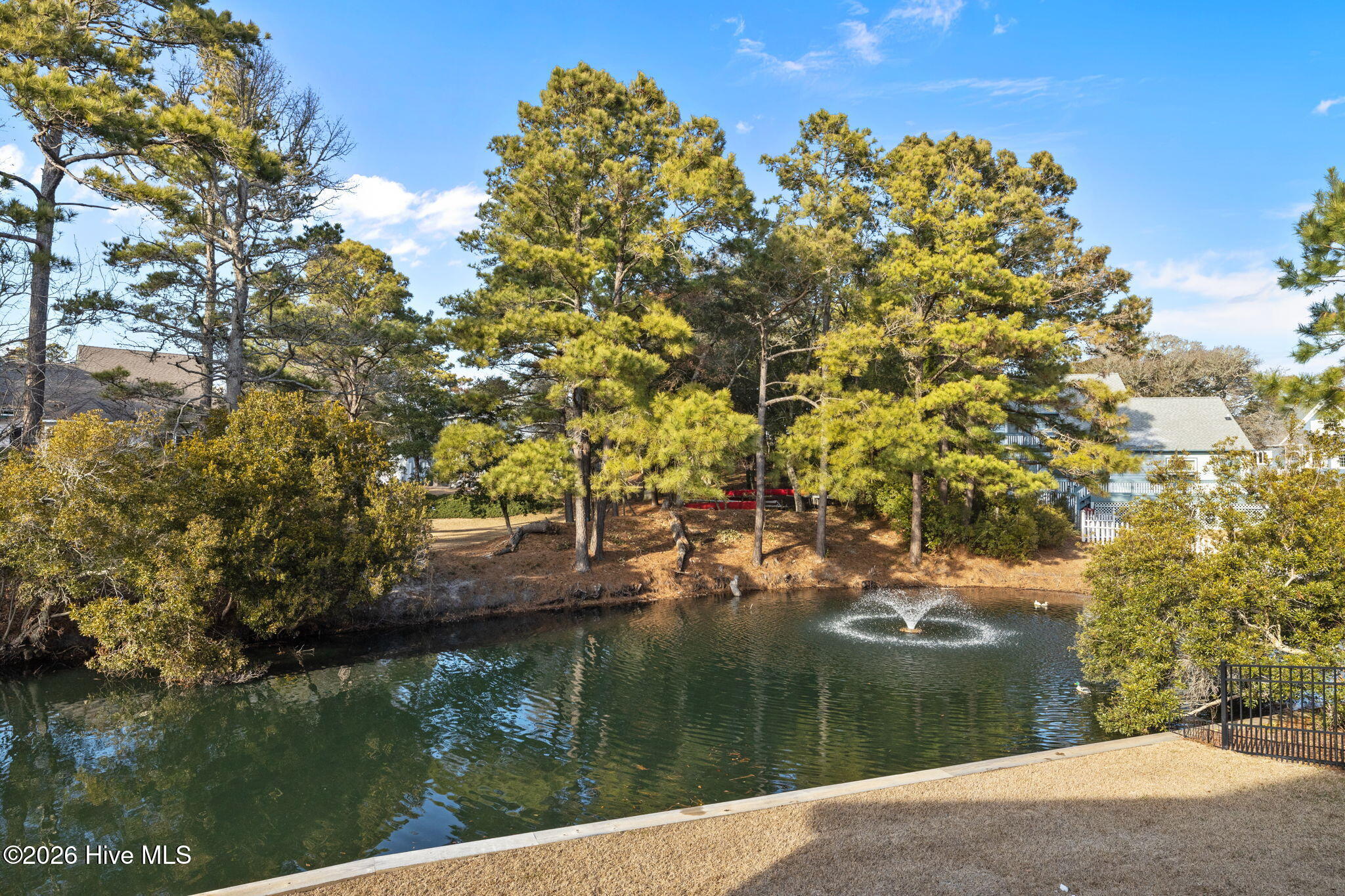 100554382 | Photo 45