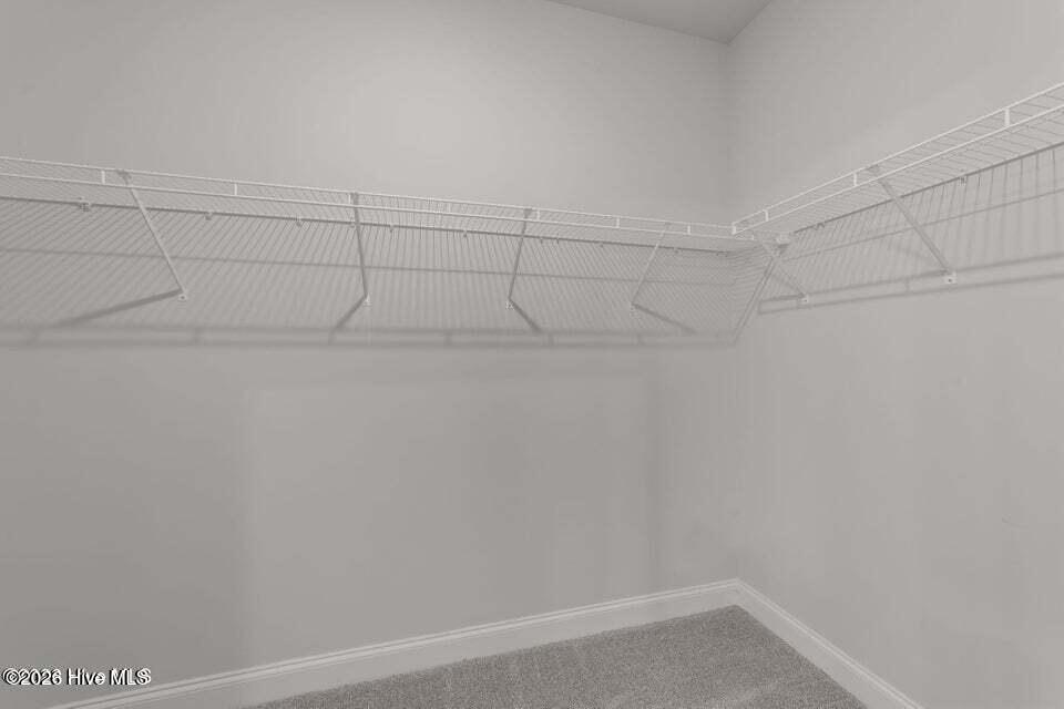100585197 | Photo 12