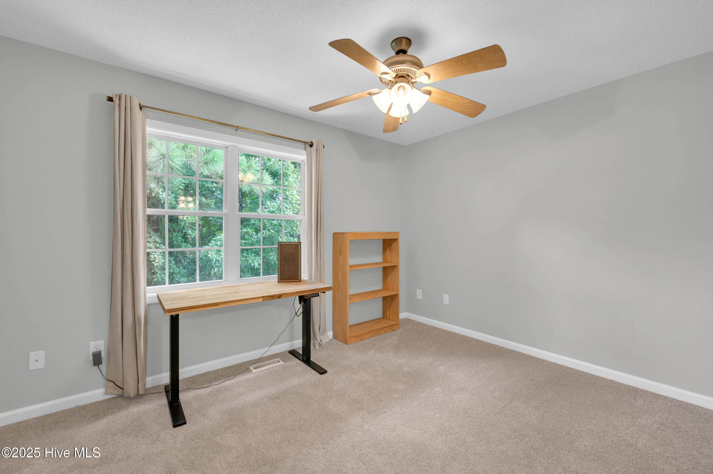 100536338 | Photo 13