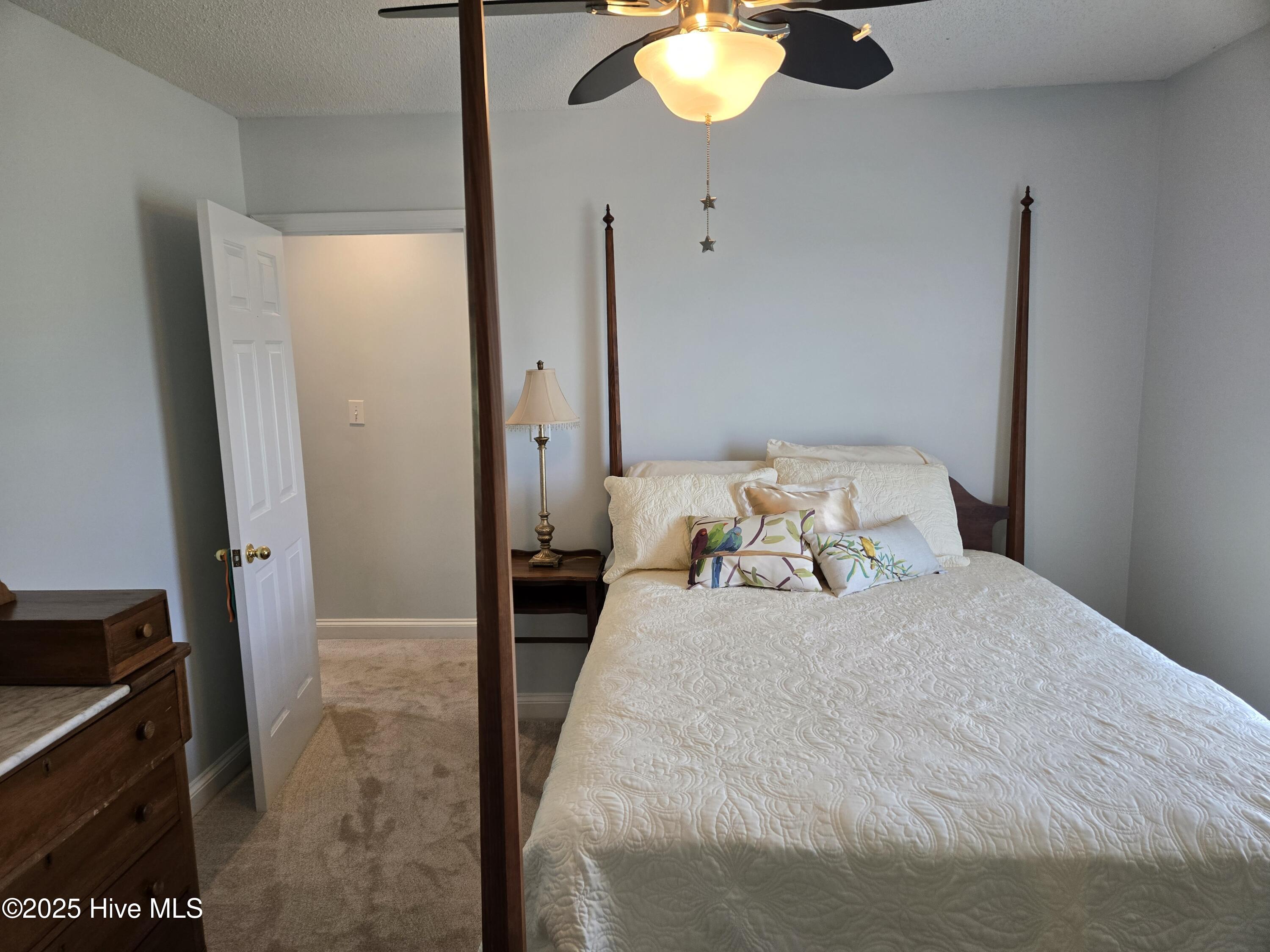 100517871 | Photo 15