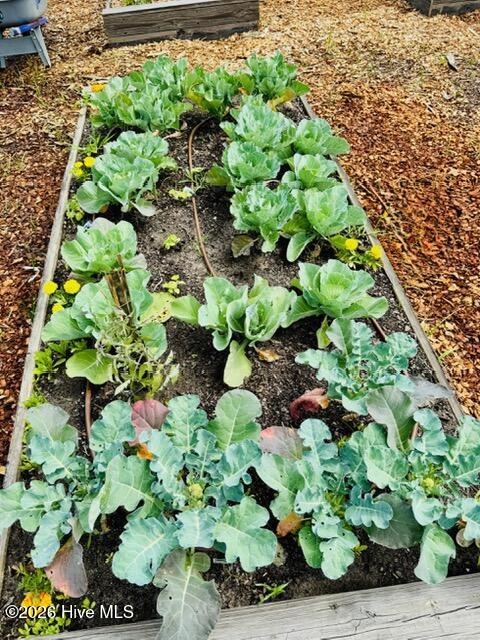 3781 Hallmark Road NE, Leland, NC, 28451