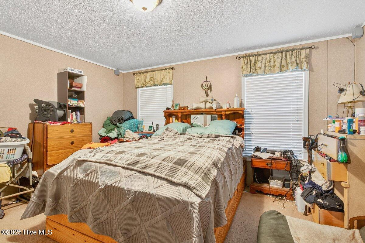 100523427 | Photo 11