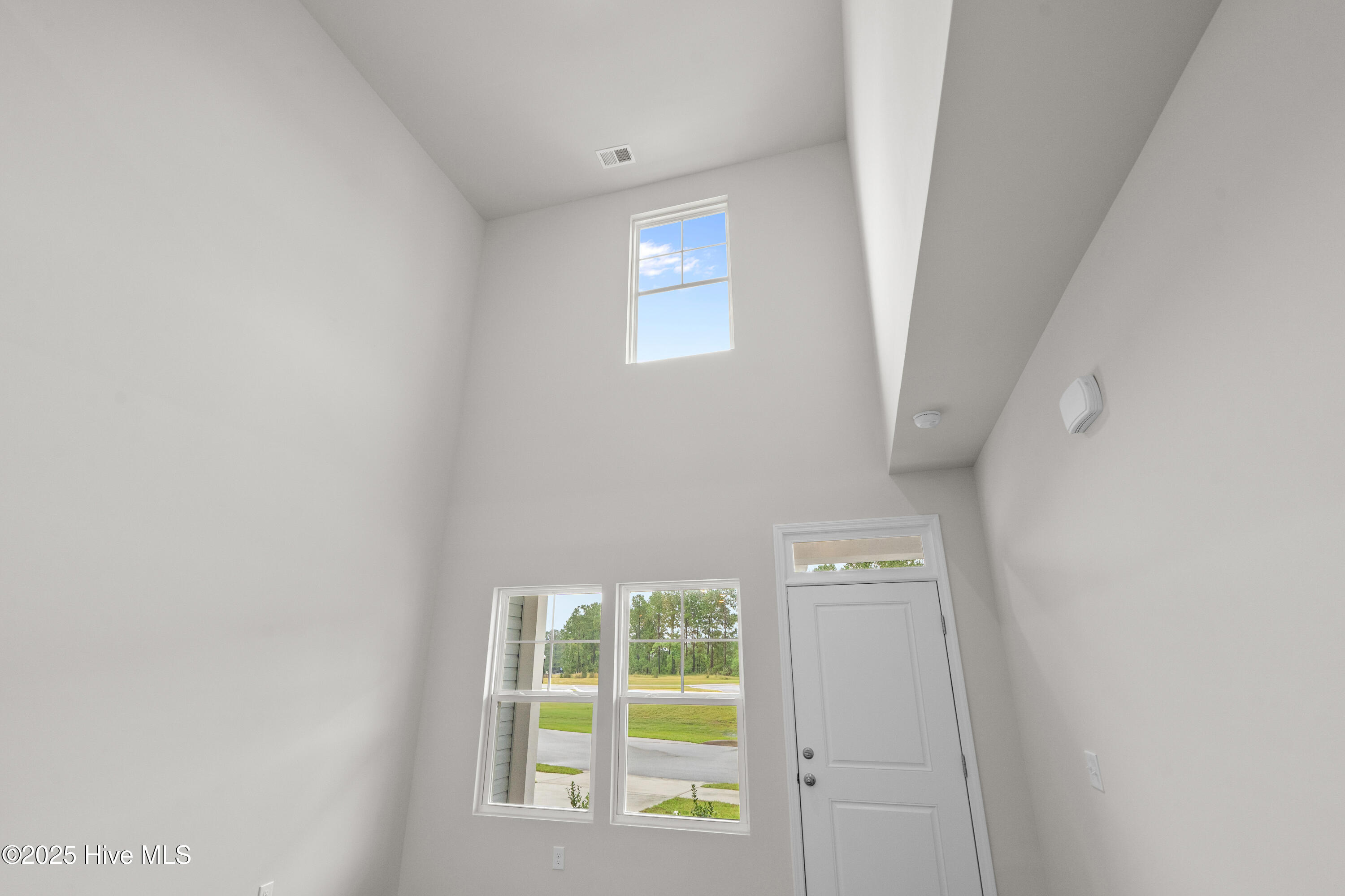 100514545 | Photo 12