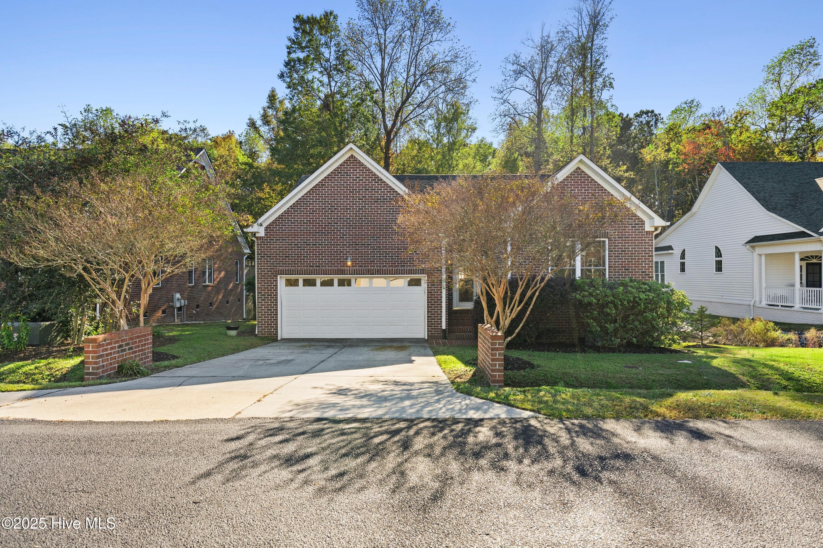 100536382 | Photo 11