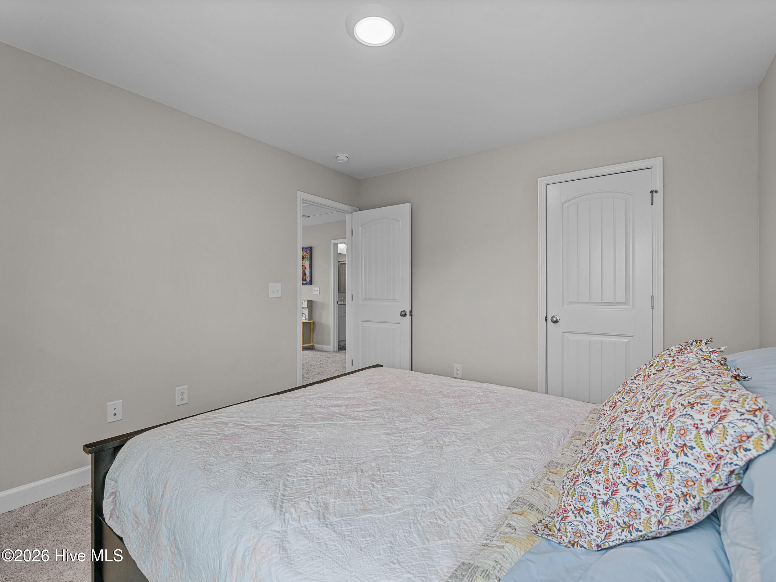 100558096 | Photo 47