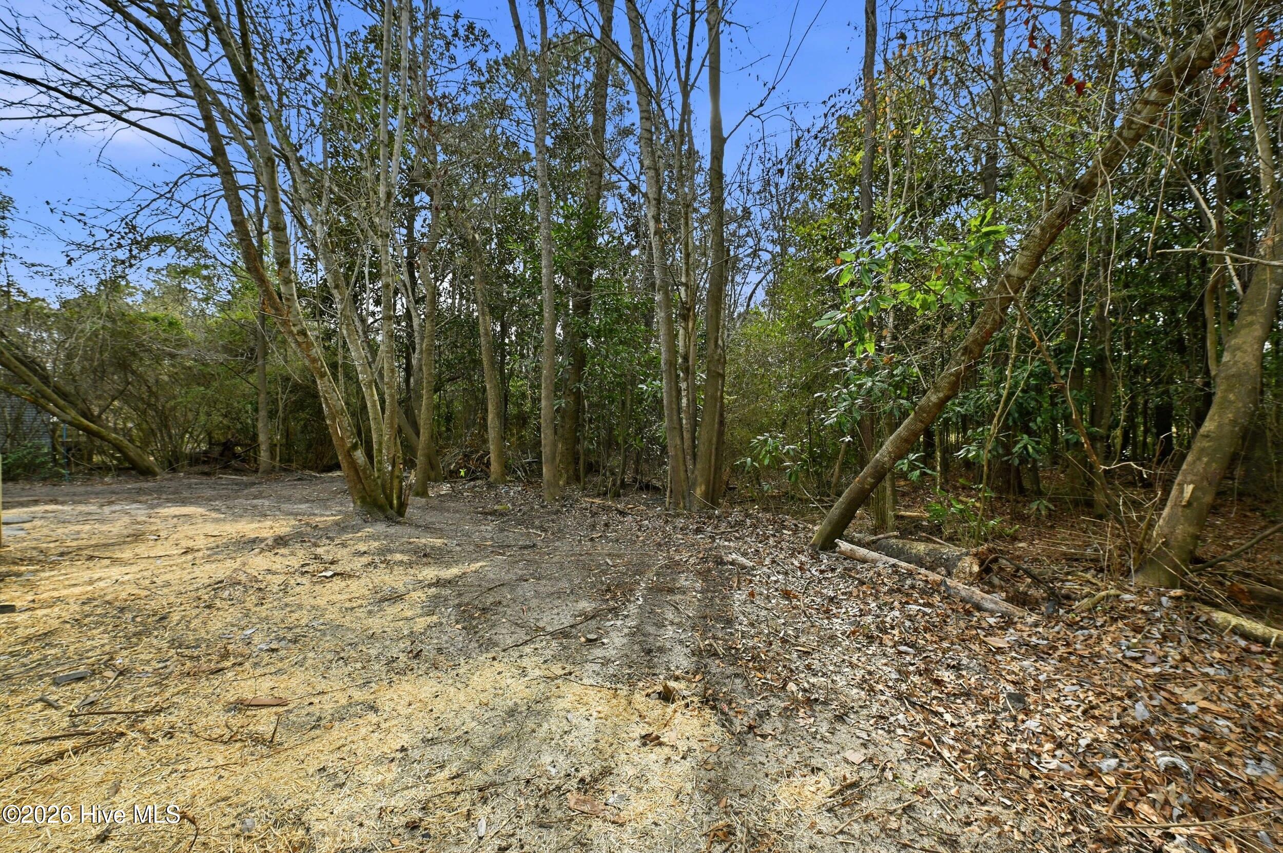 100552773 | Photo 30