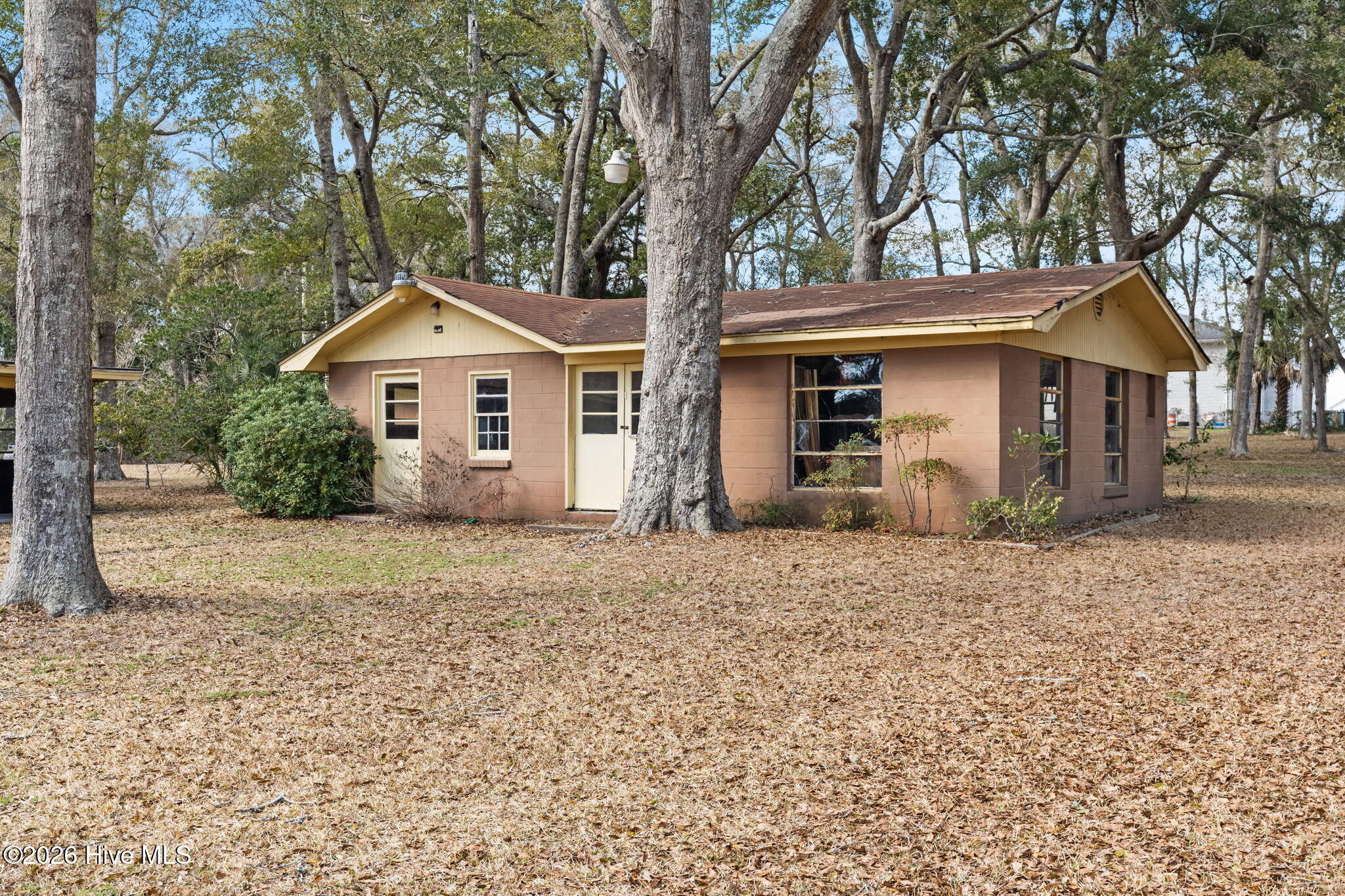 100561810 | Photo 60