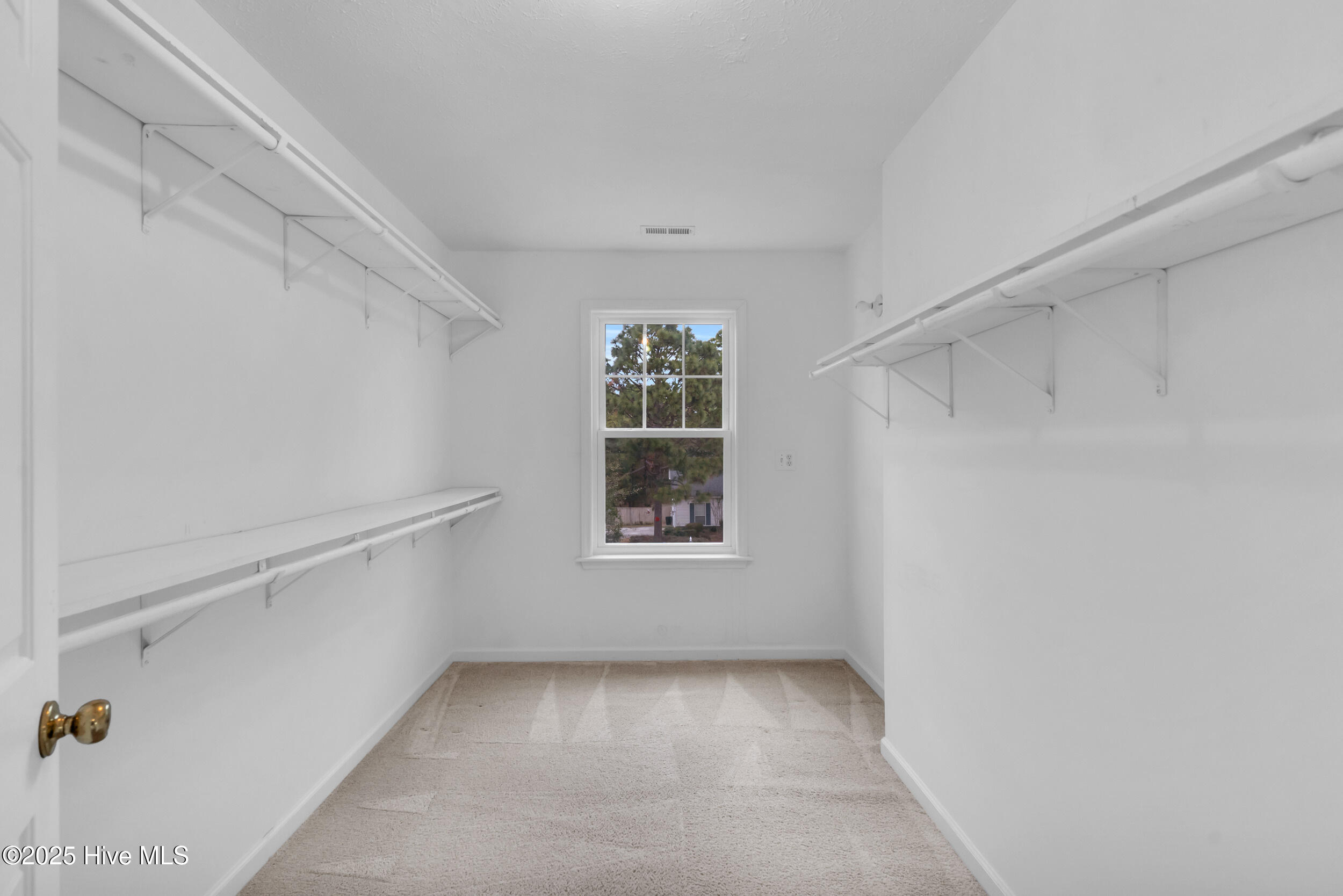 100545048 | Photo 24