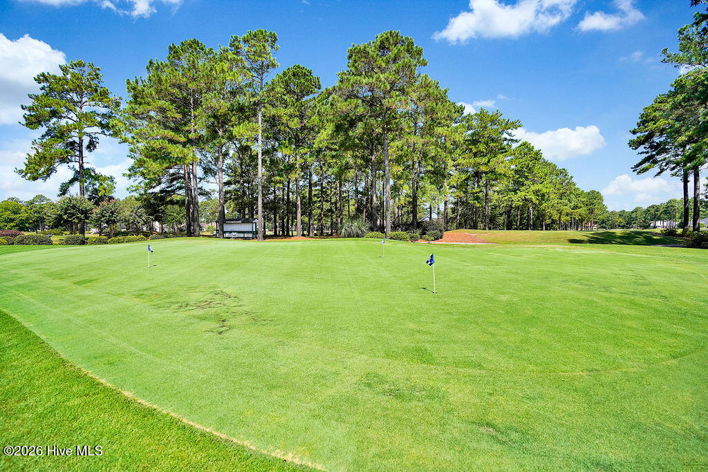 100567236 | Photo 20