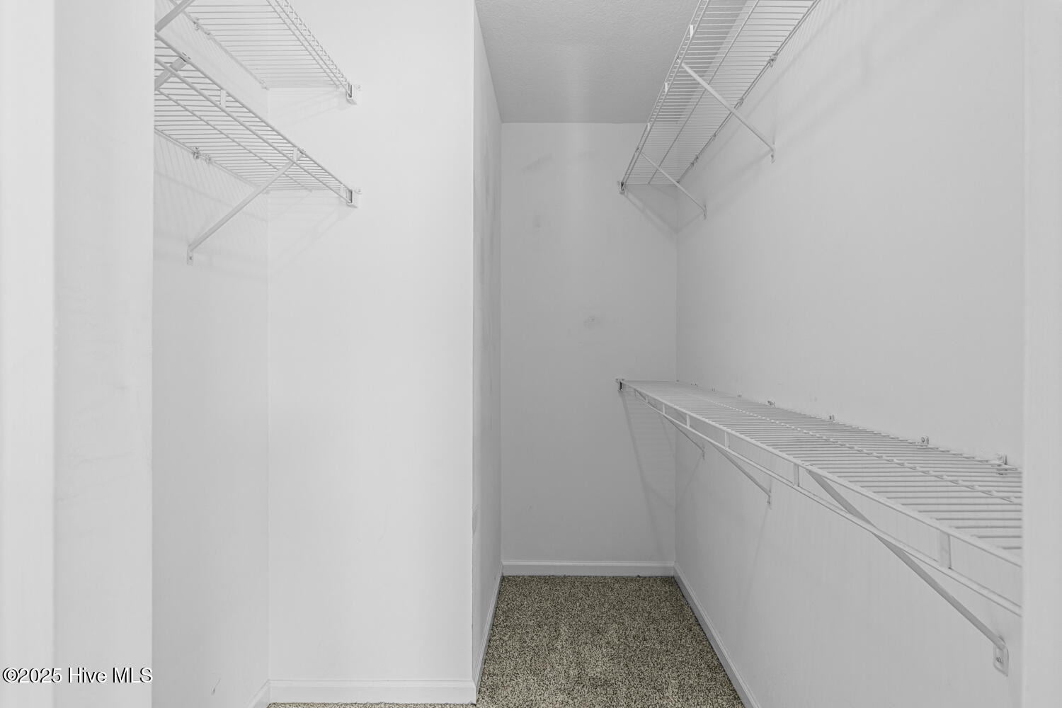 100545321 | Photo 22