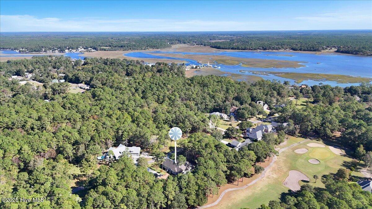 100505838 | Photo 95