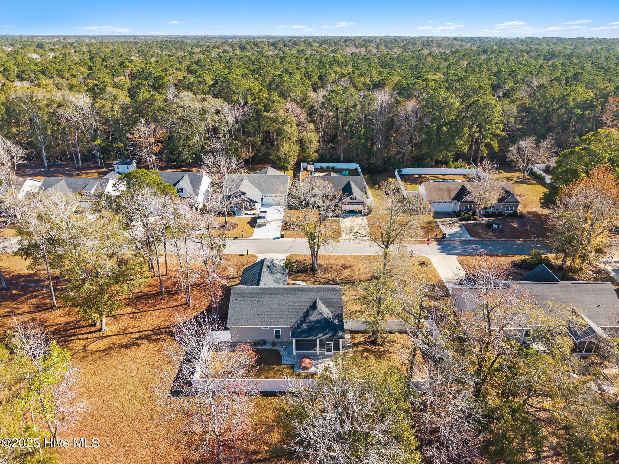 100544507 | Photo 46