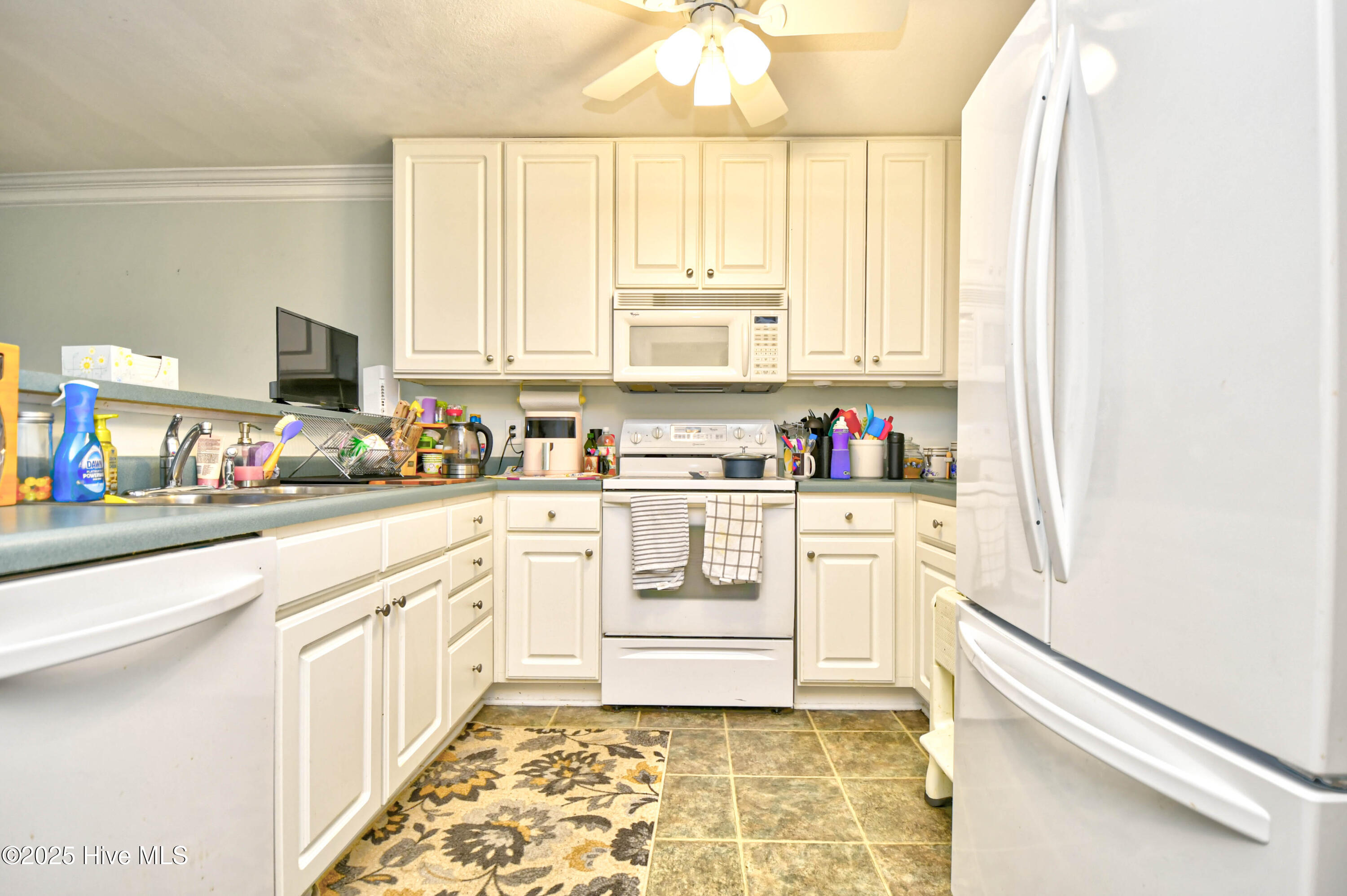 100523607 | Photo 15