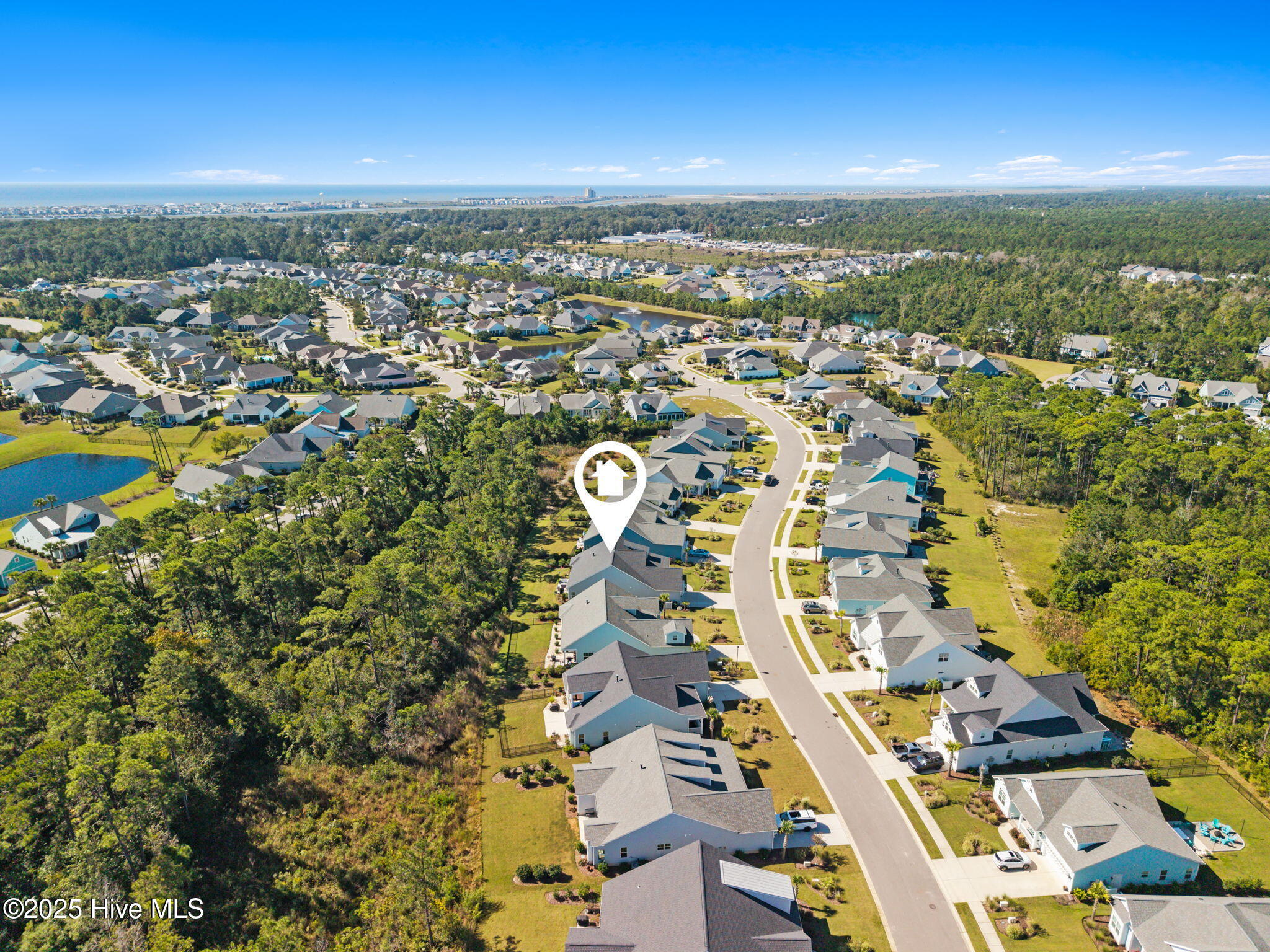 100534484 | Photo 11