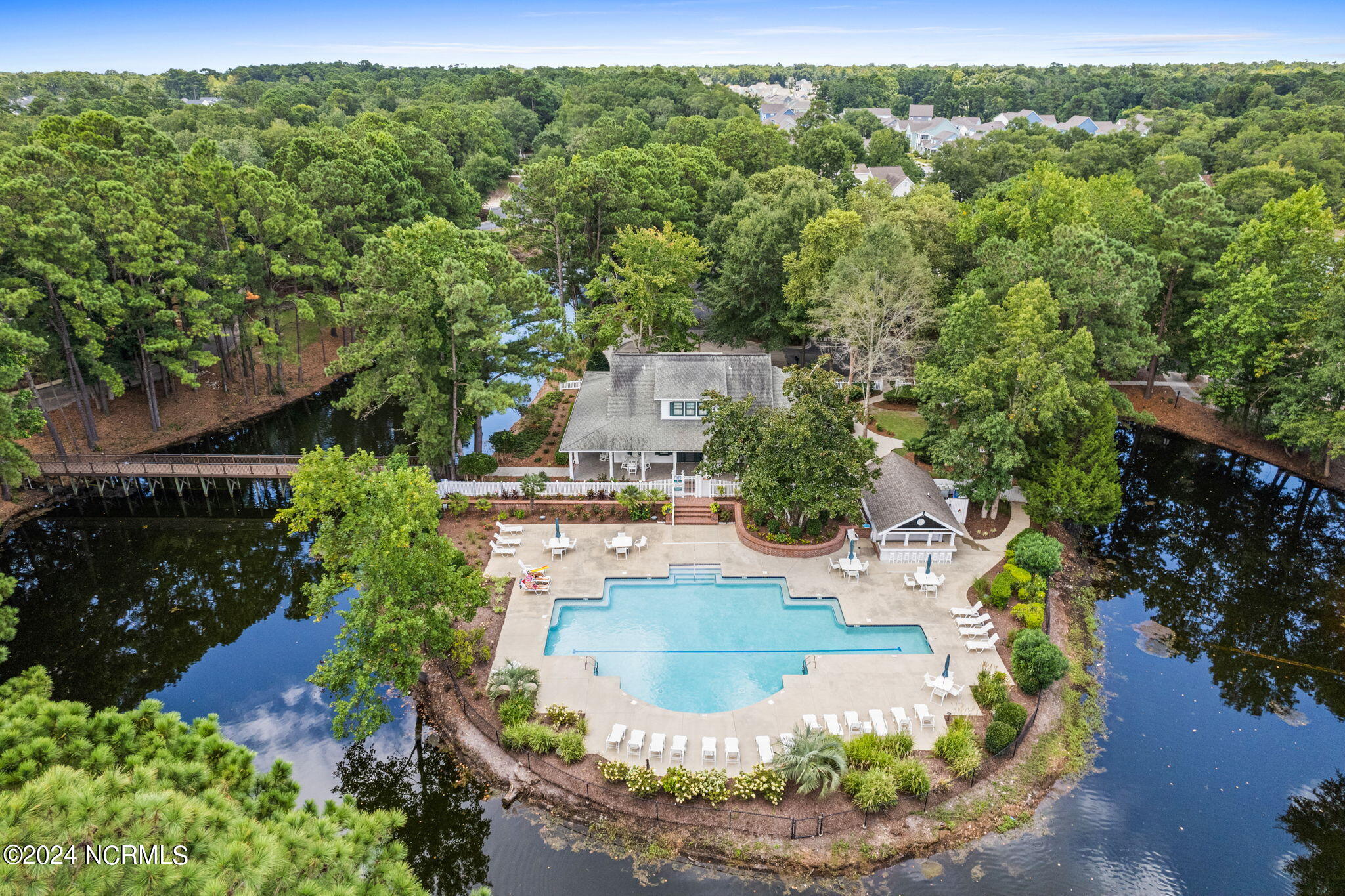 100542998 | Photo 15