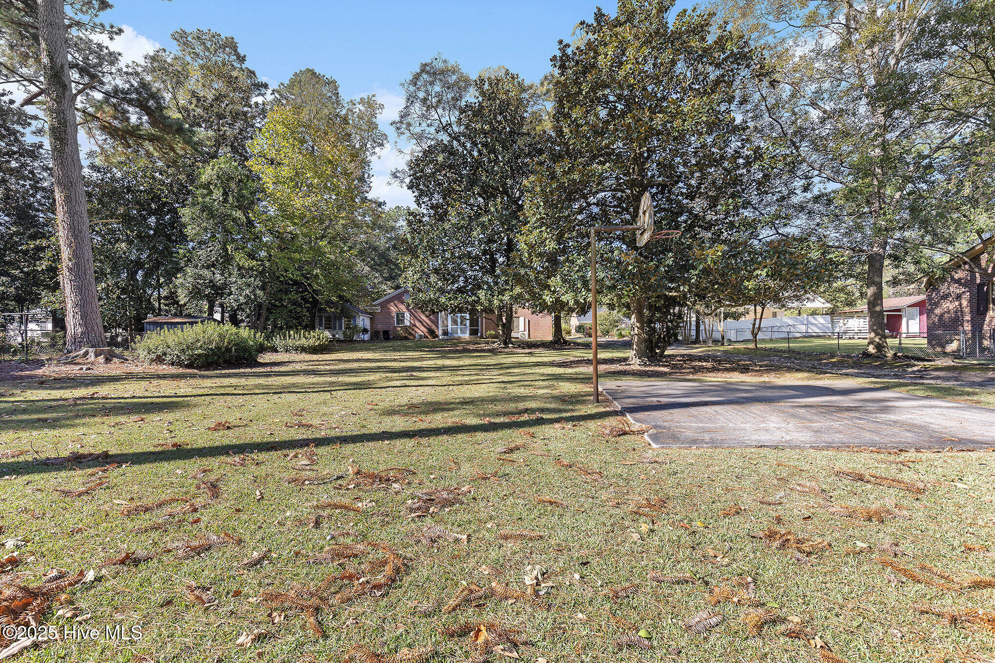 100537209 | Photo 44