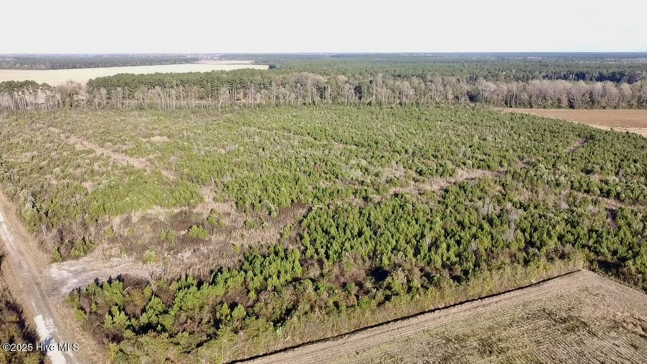 100541751 | Photo 13