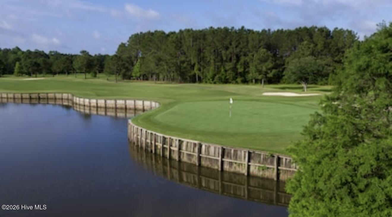 100558778 | Photo 33