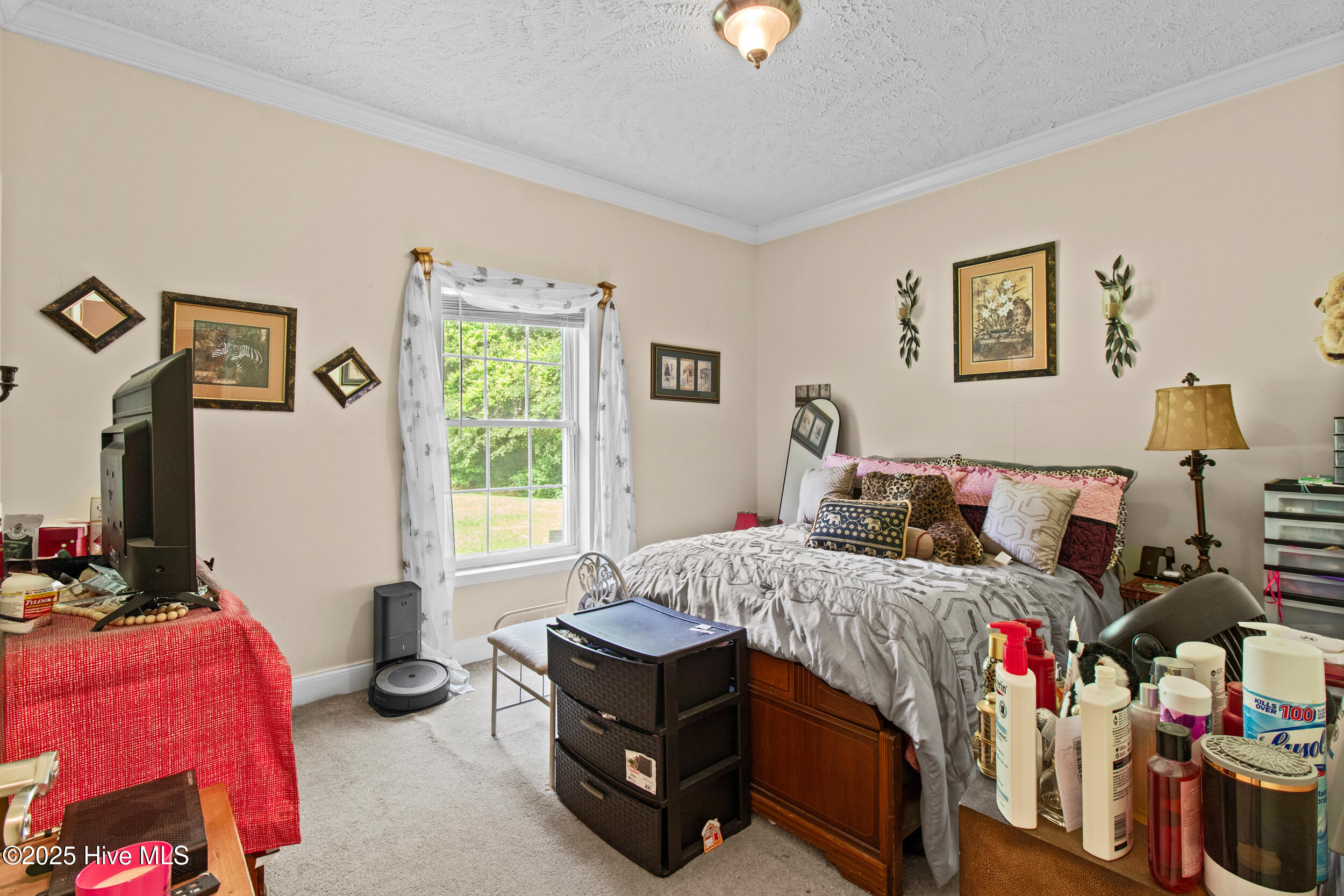 100552481 | Photo 20