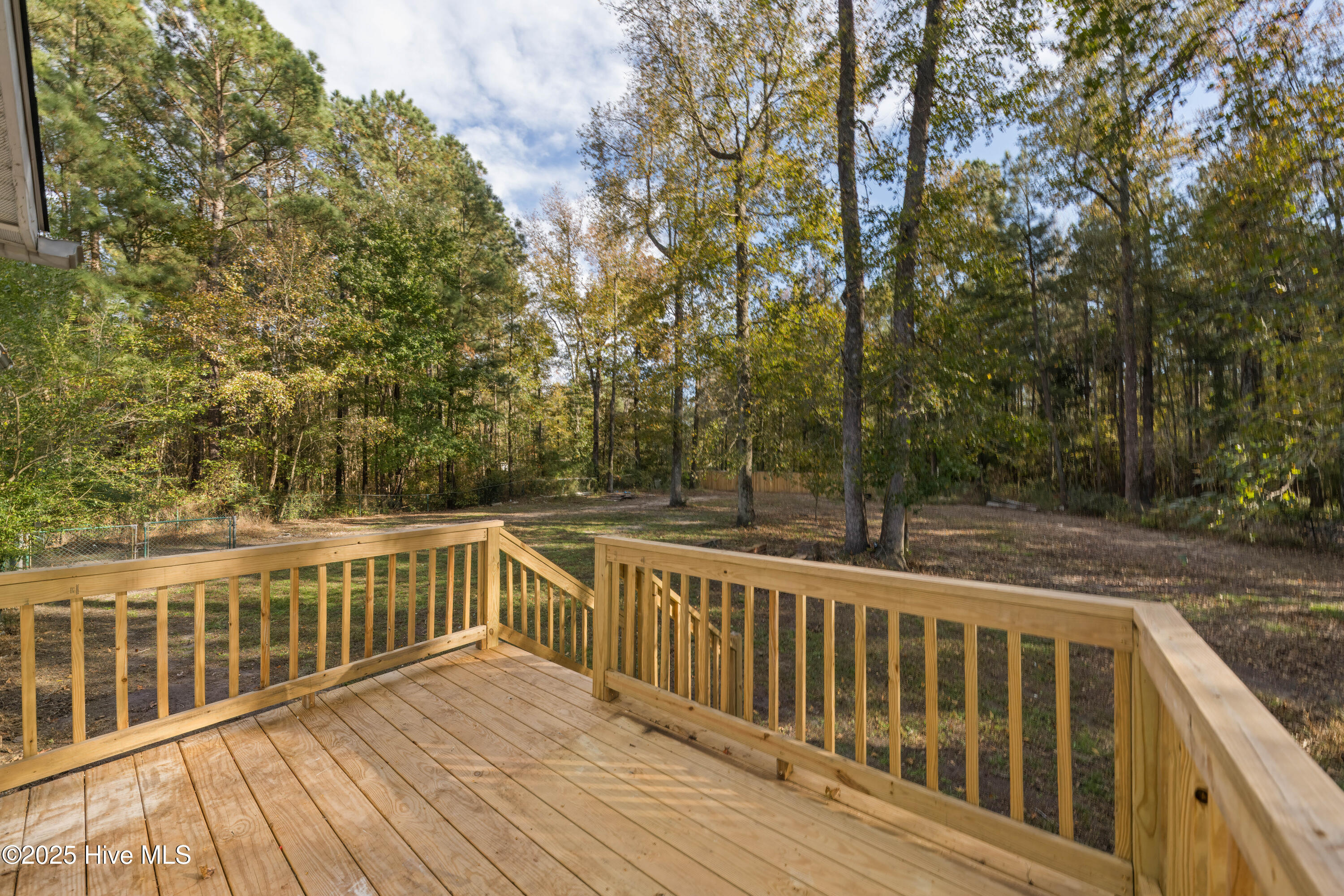 100541471 | Photo 32