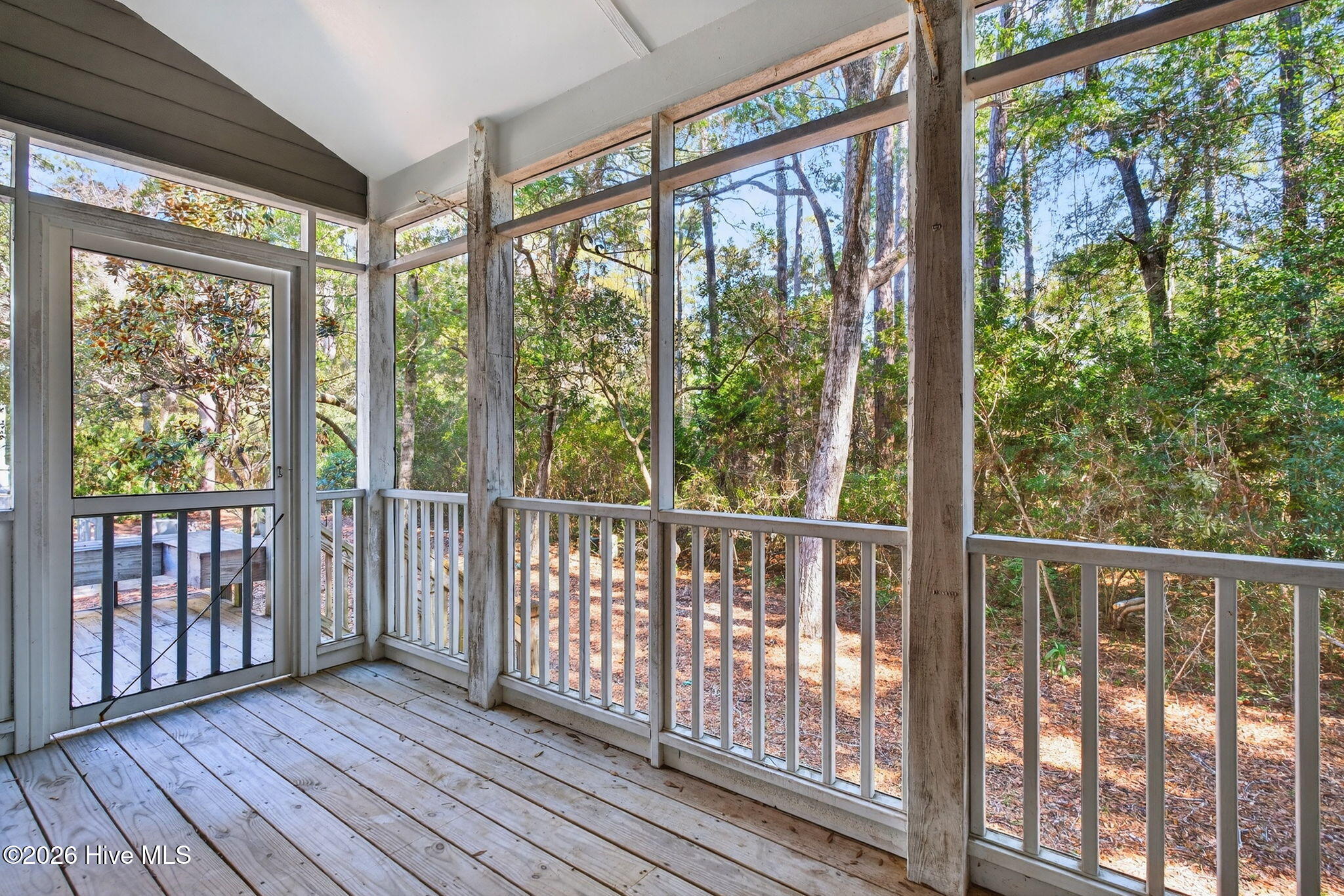 100553475 | Photo 34