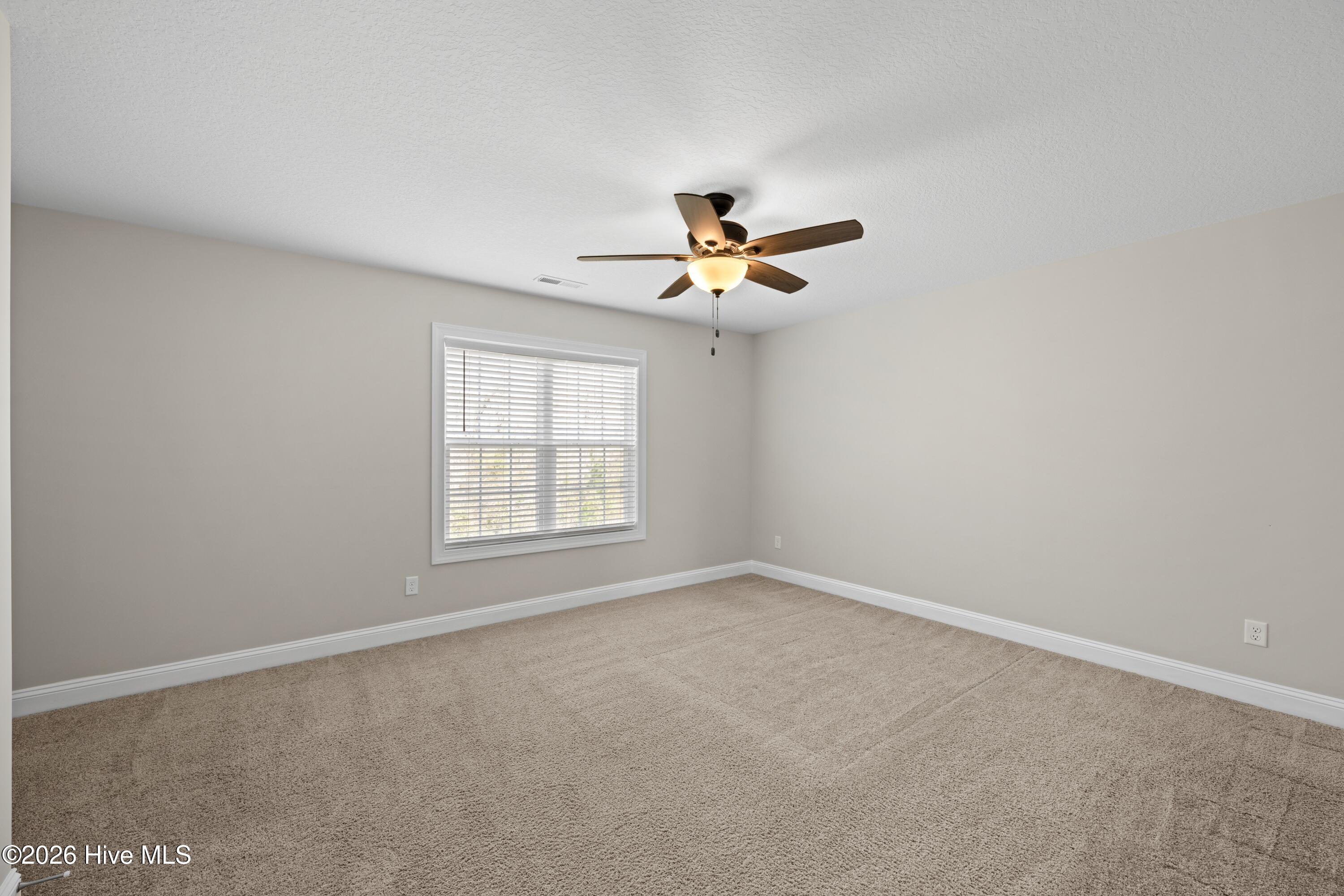 100561863 | Photo 31