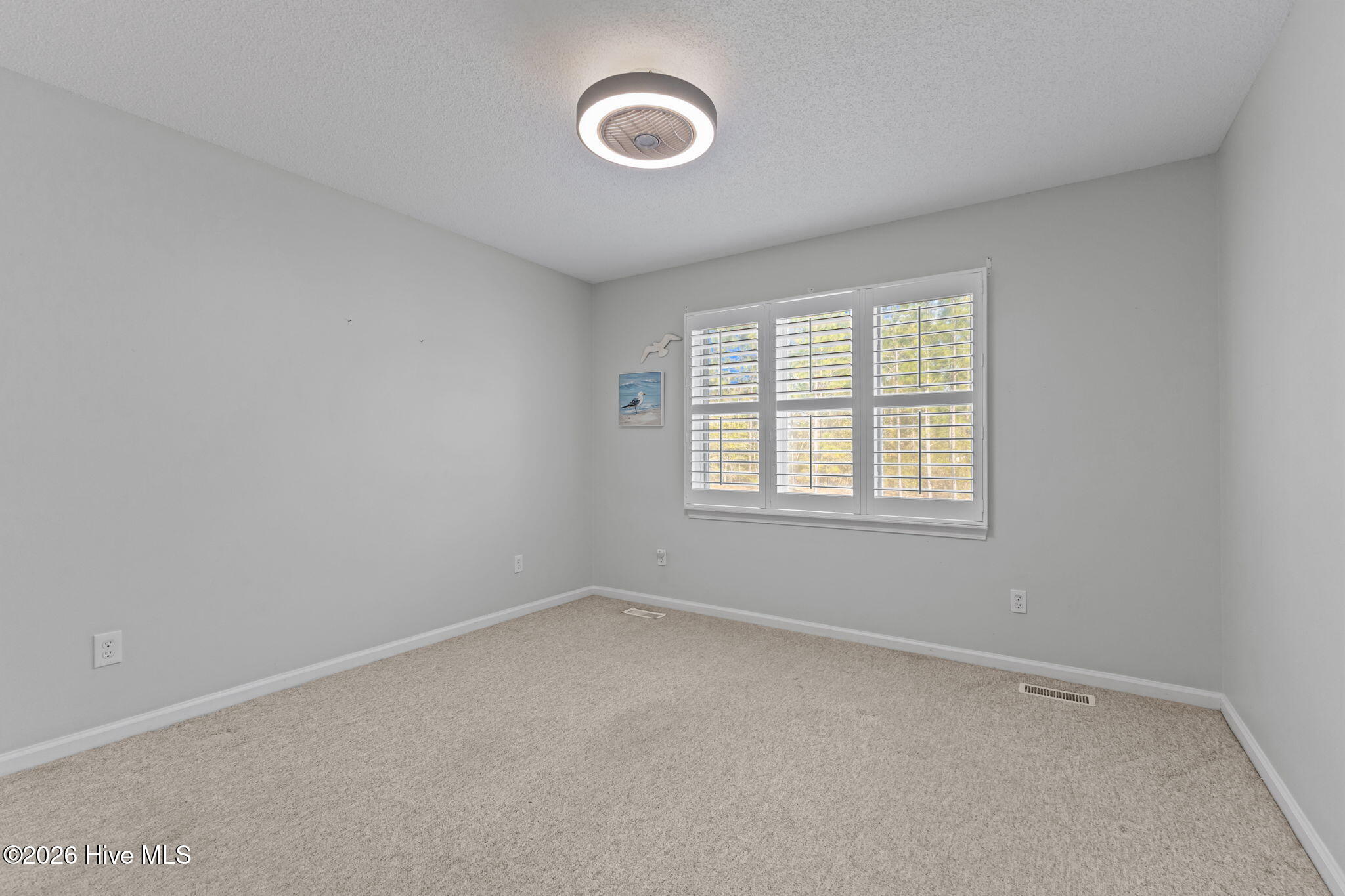 100564884 | Photo 28