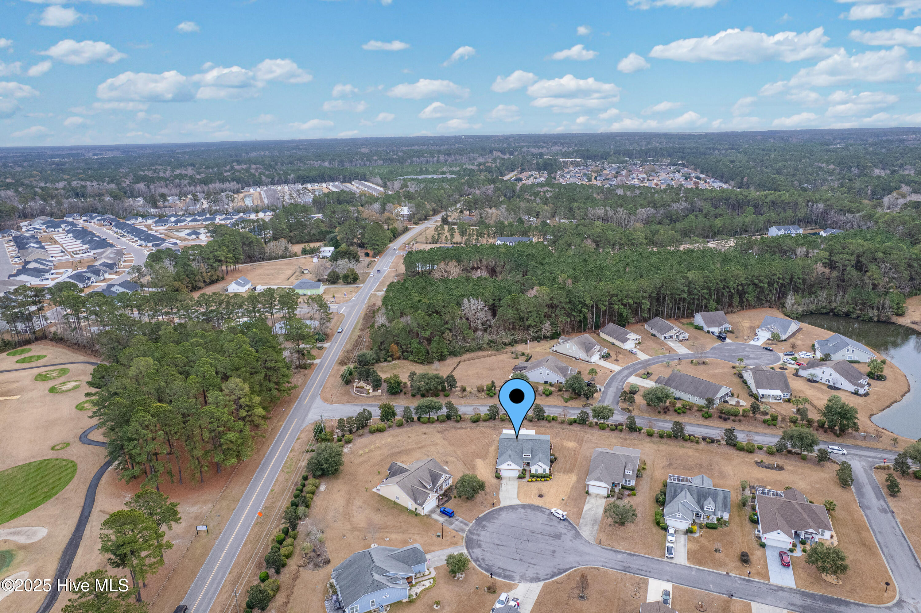 100547221 | Photo 41