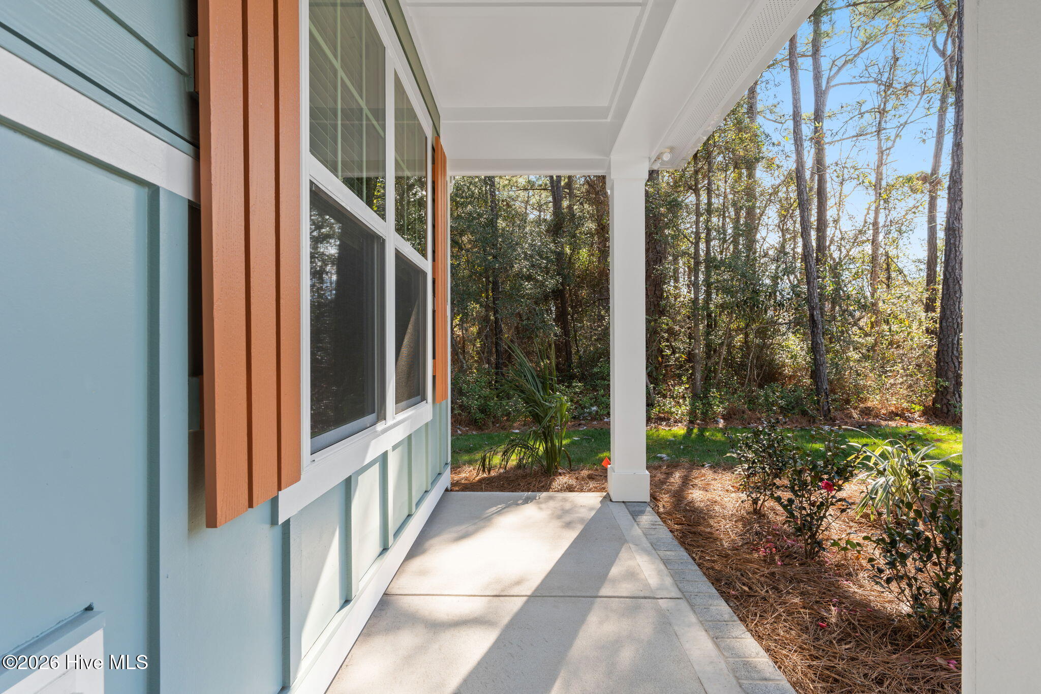 100527921 | Photo 41