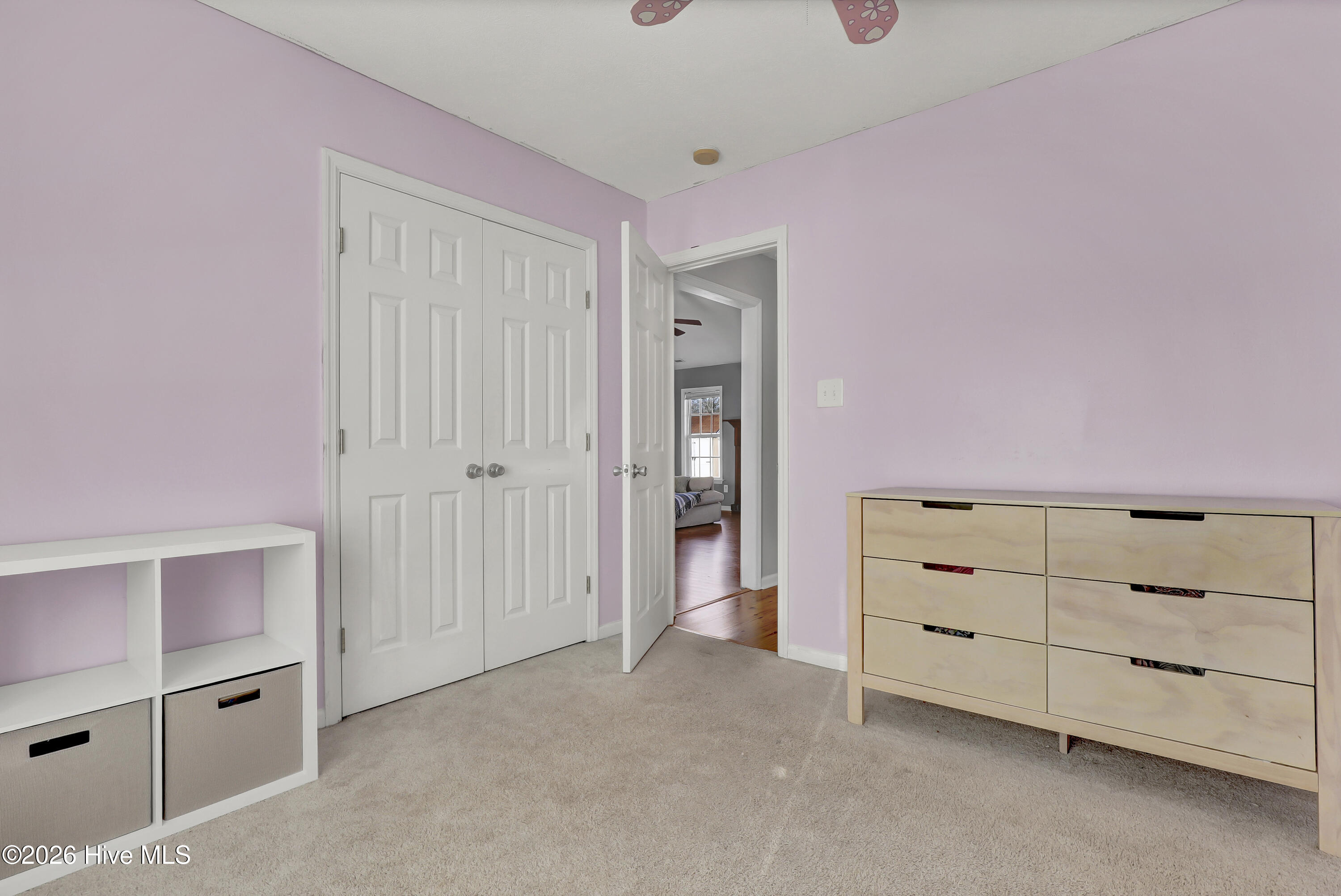 100548013 | Photo 19