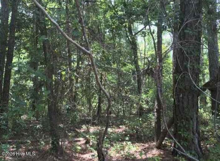 000 Johnson Town Road, Zebulon, NC, 27597