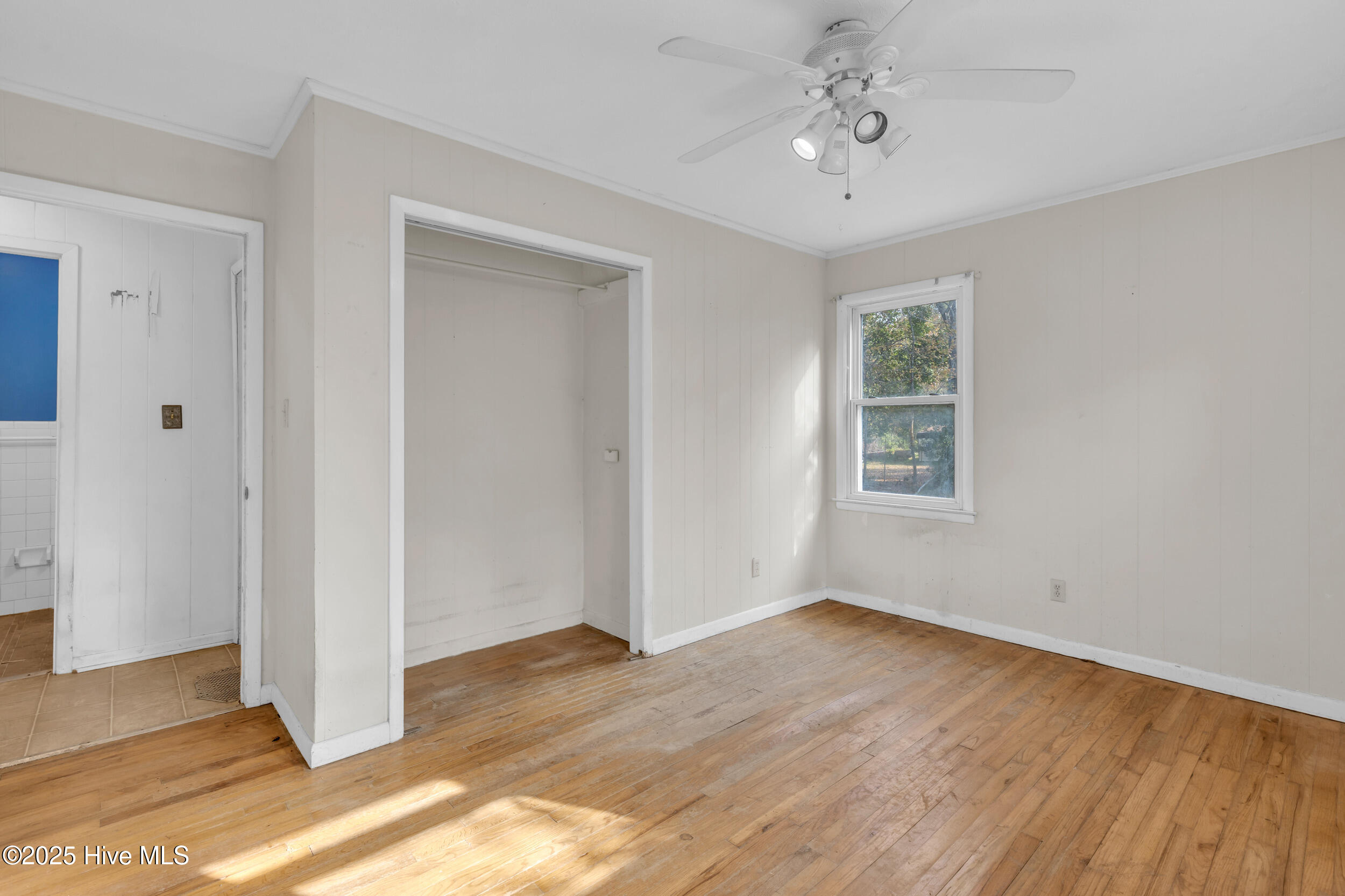 100543256 | Photo 24