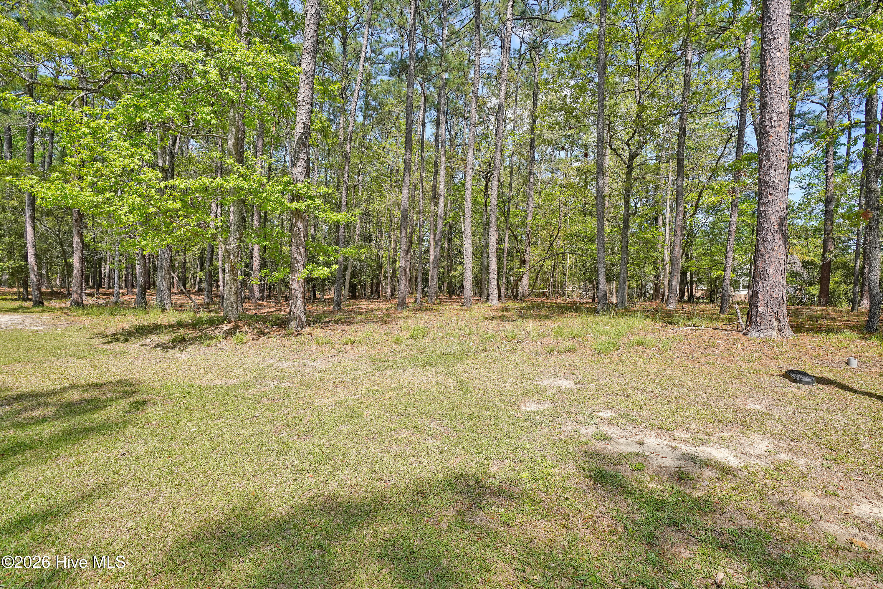 100604781 | Photo 3