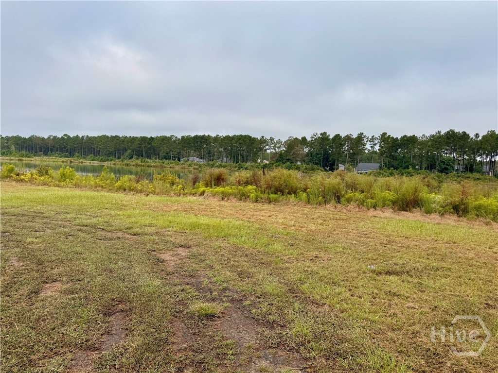 1550 Belfast River, Richmond Hill, Georgia, 0 ,Land,For sale,Belfast River,SA340238