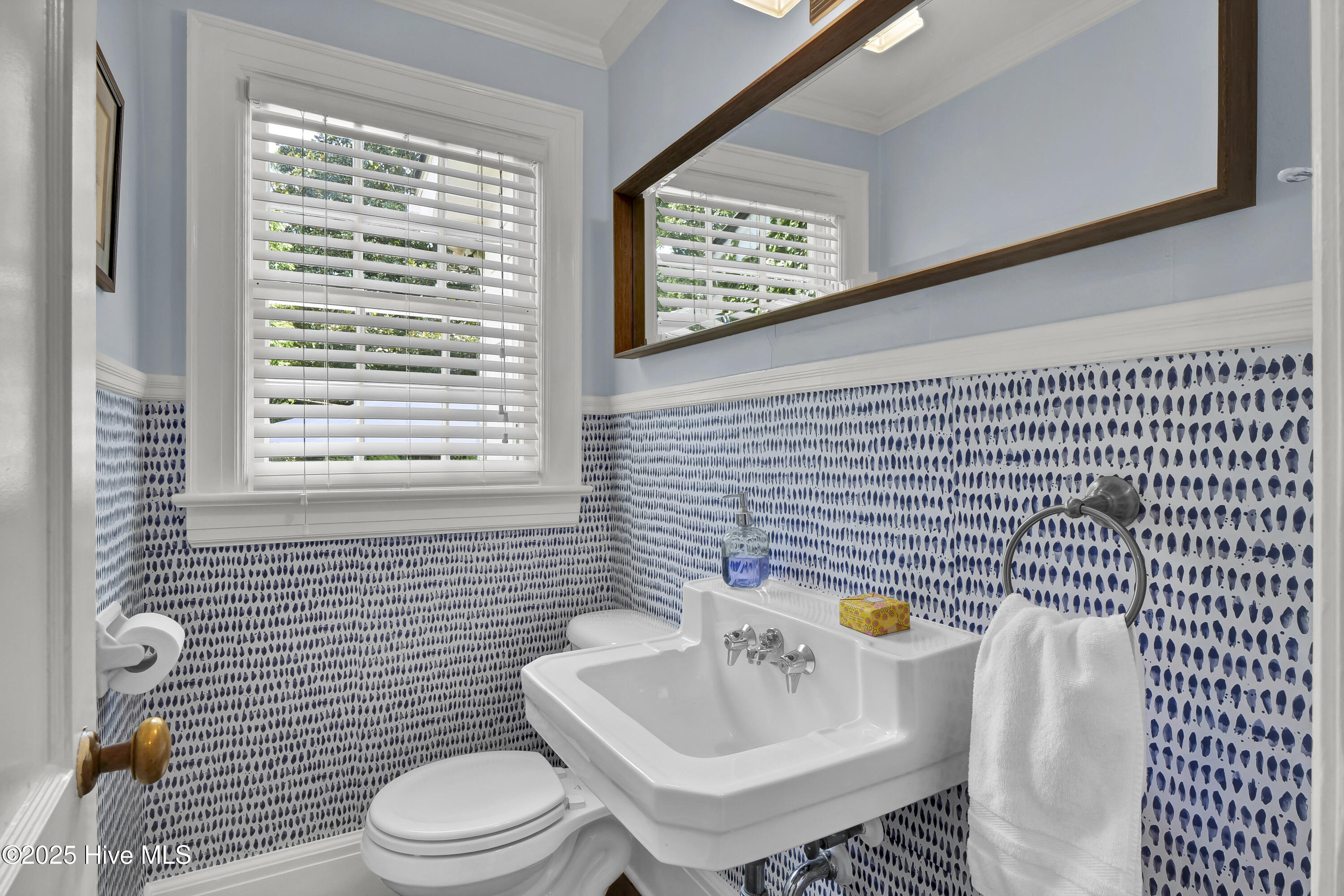 100557431 | Photo 13