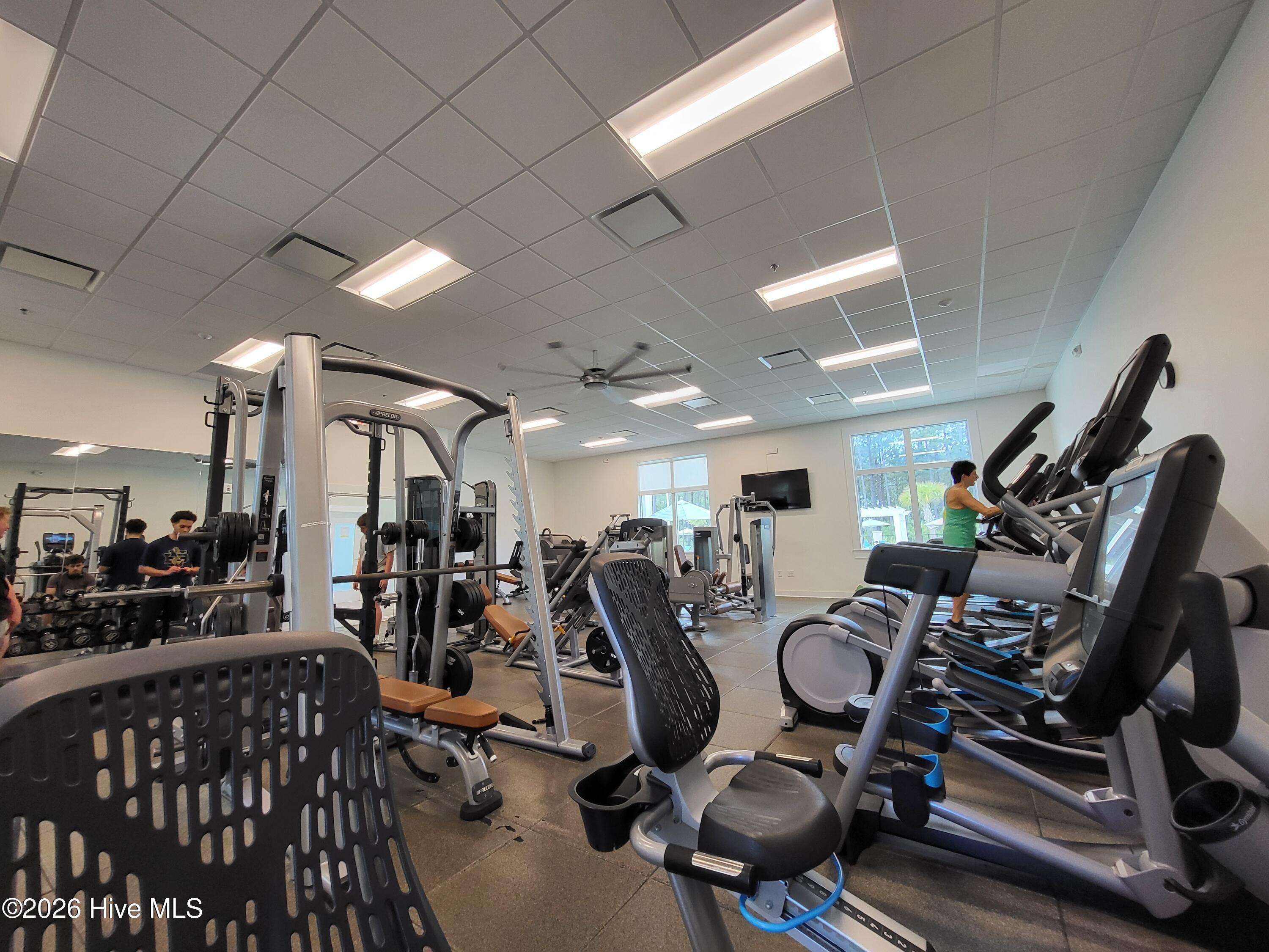 100564623 | Photo 35